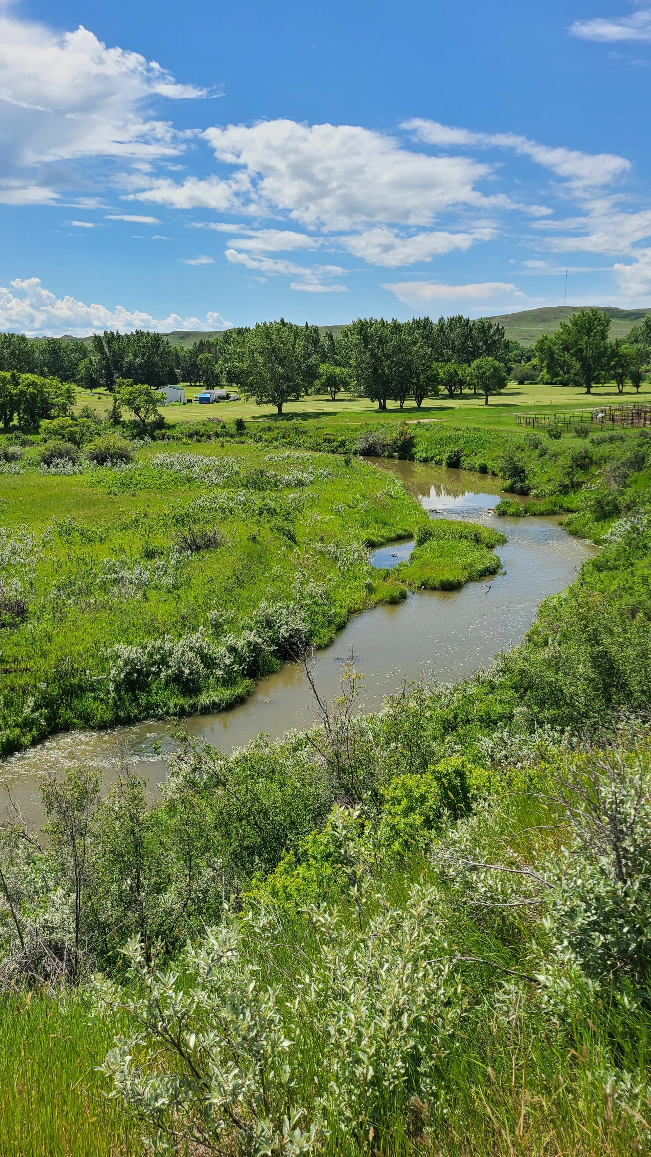 Frenchman River
