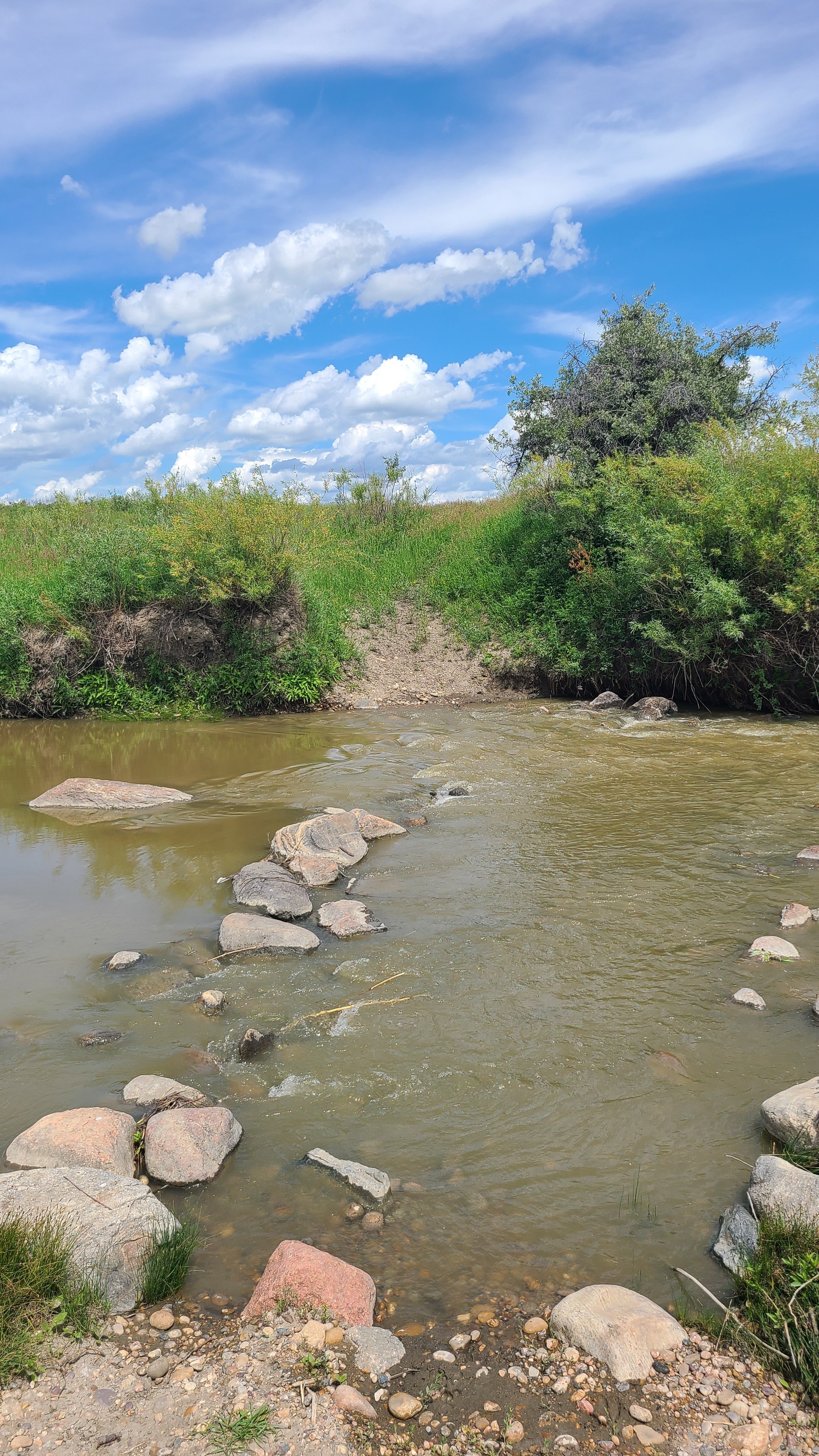 20260703_124042 water crossing.jpg