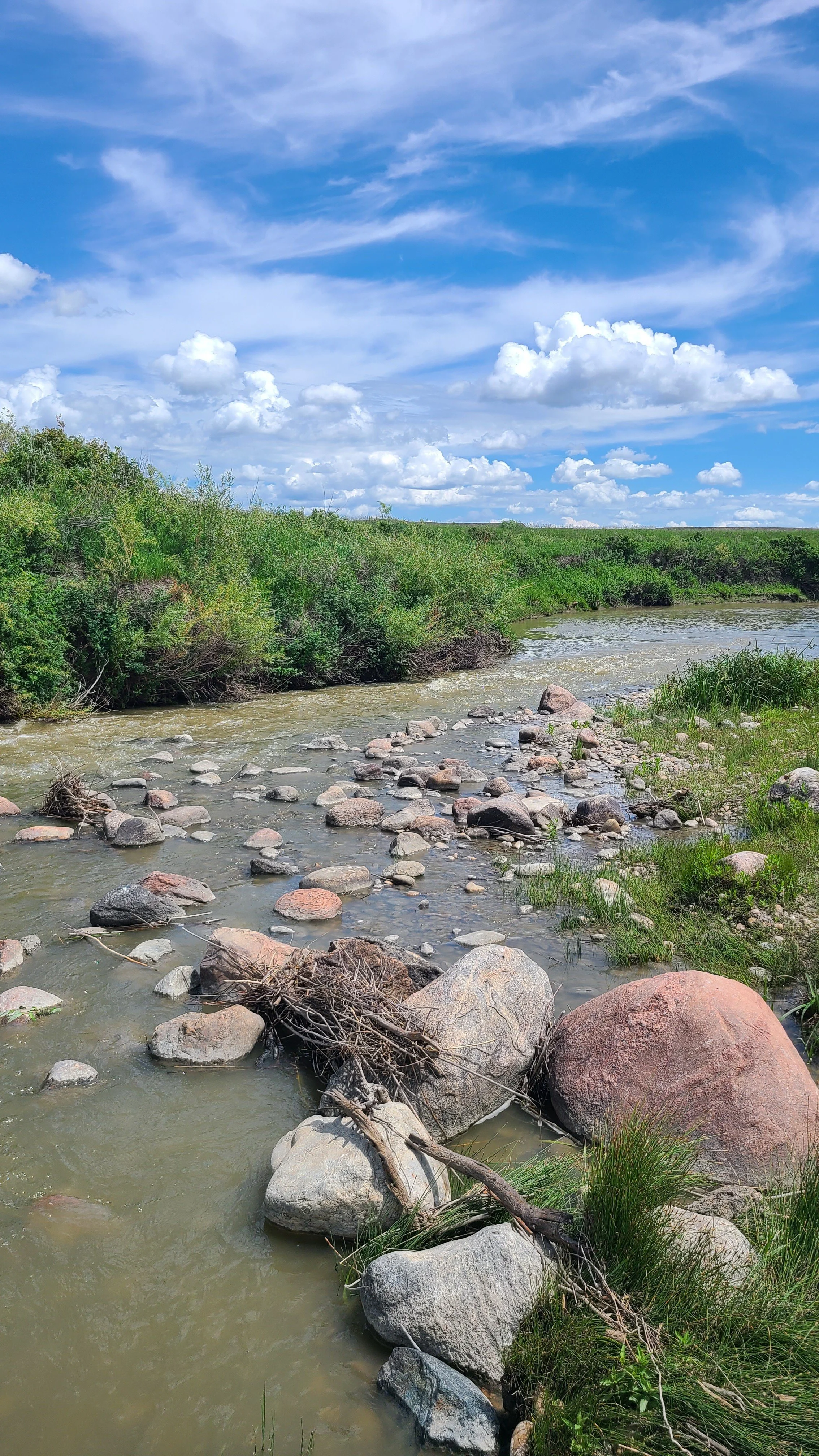 20260703_water crossing.jpg