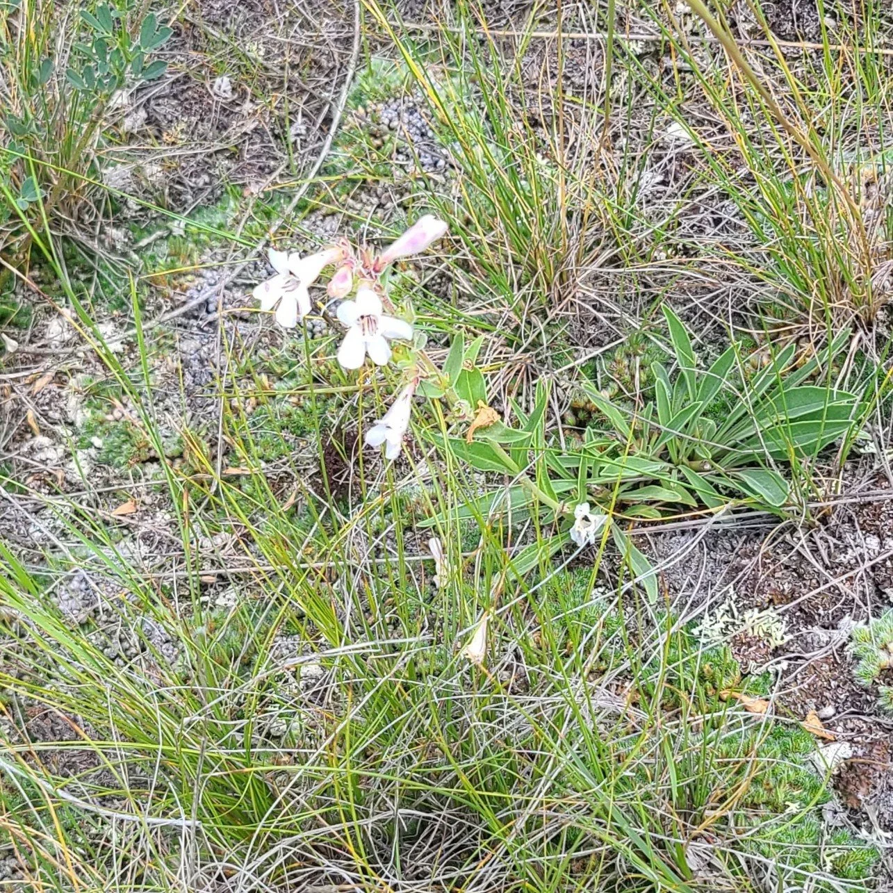 20260703_130455.jpg
