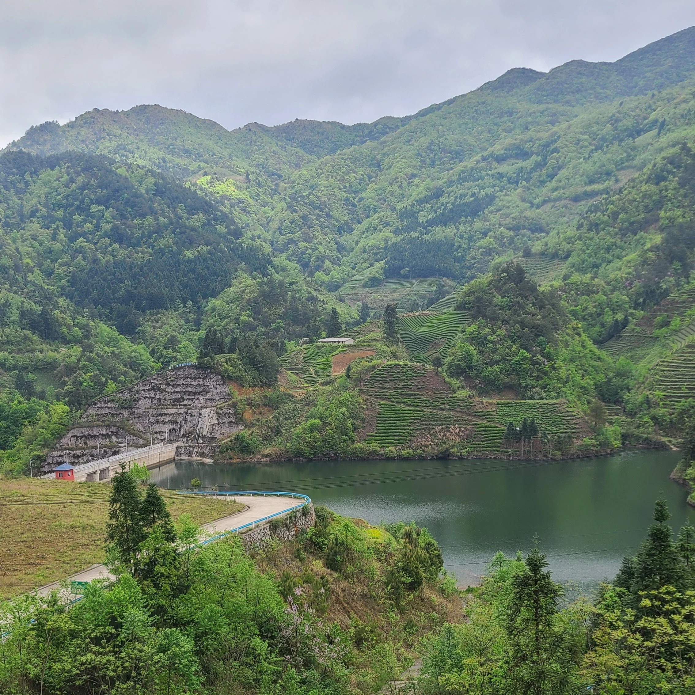 Dam, reservoir & tea fields, Jiaoyao Village