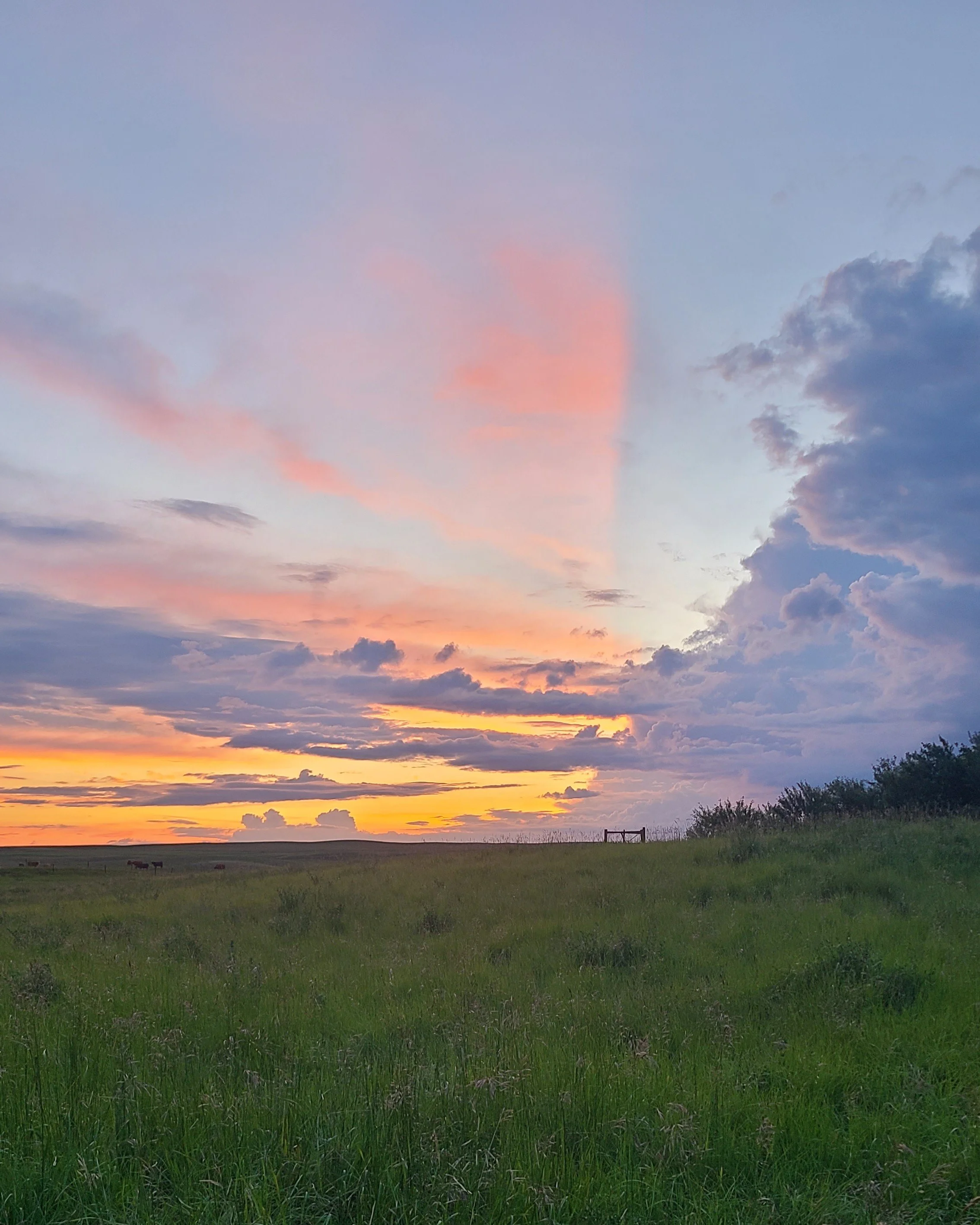 split sunset - southern Saskatchewan (2026)
