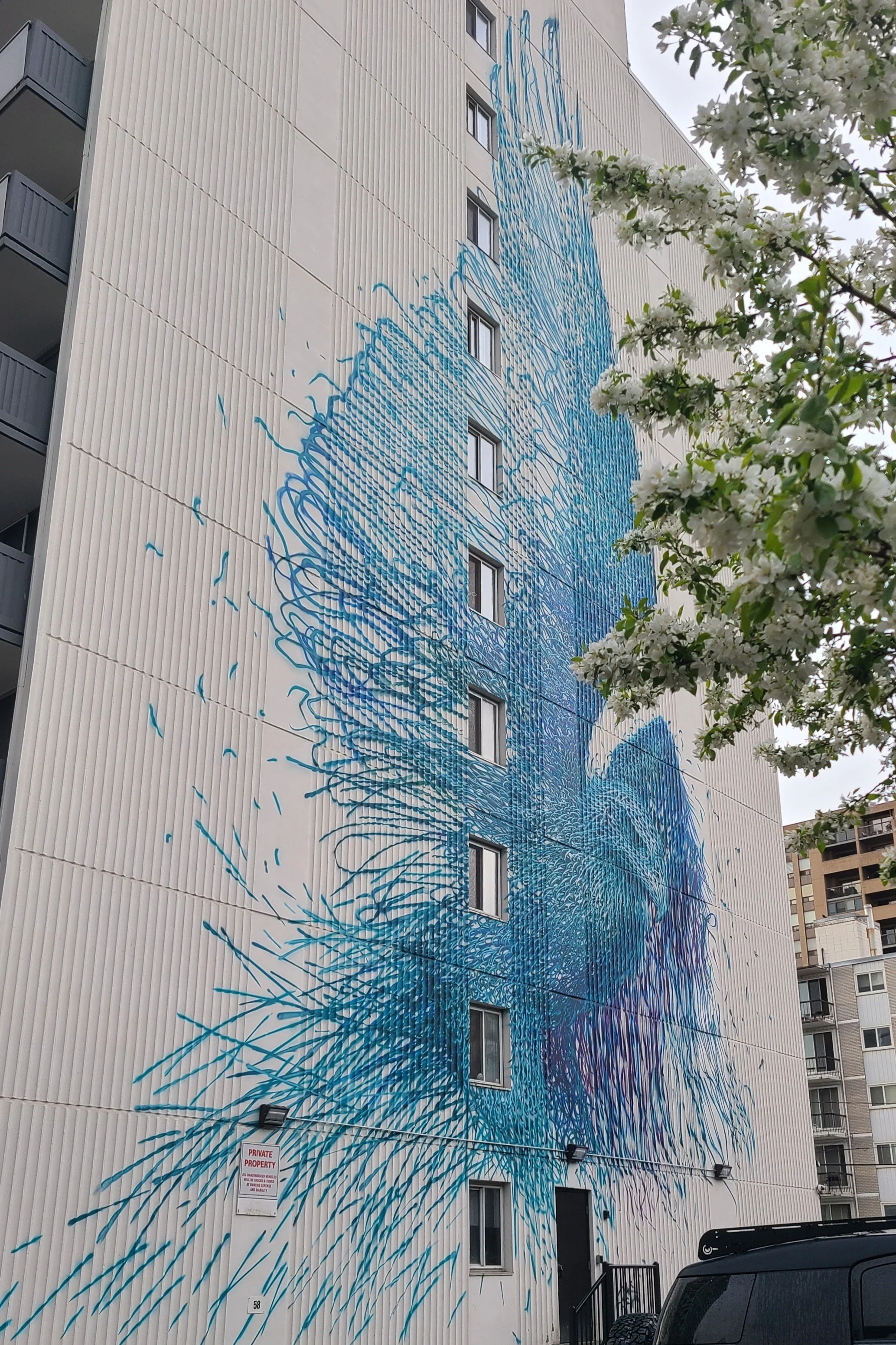 Blue Bird by DALeast completed in 2019, SW Calgary