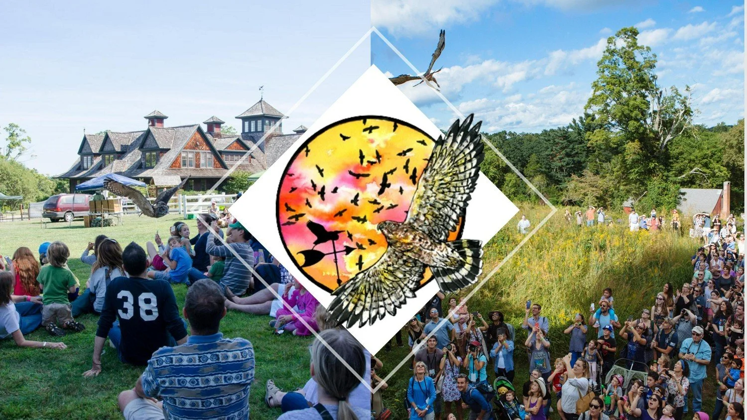 Greenwich Audubon Hawk Watch Fest