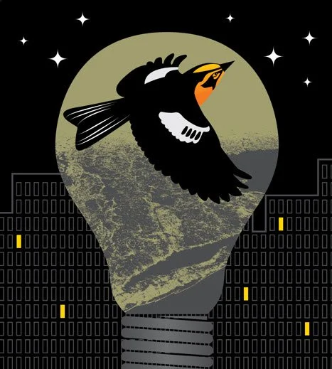 Prospect Land Trust Annual Meeting 