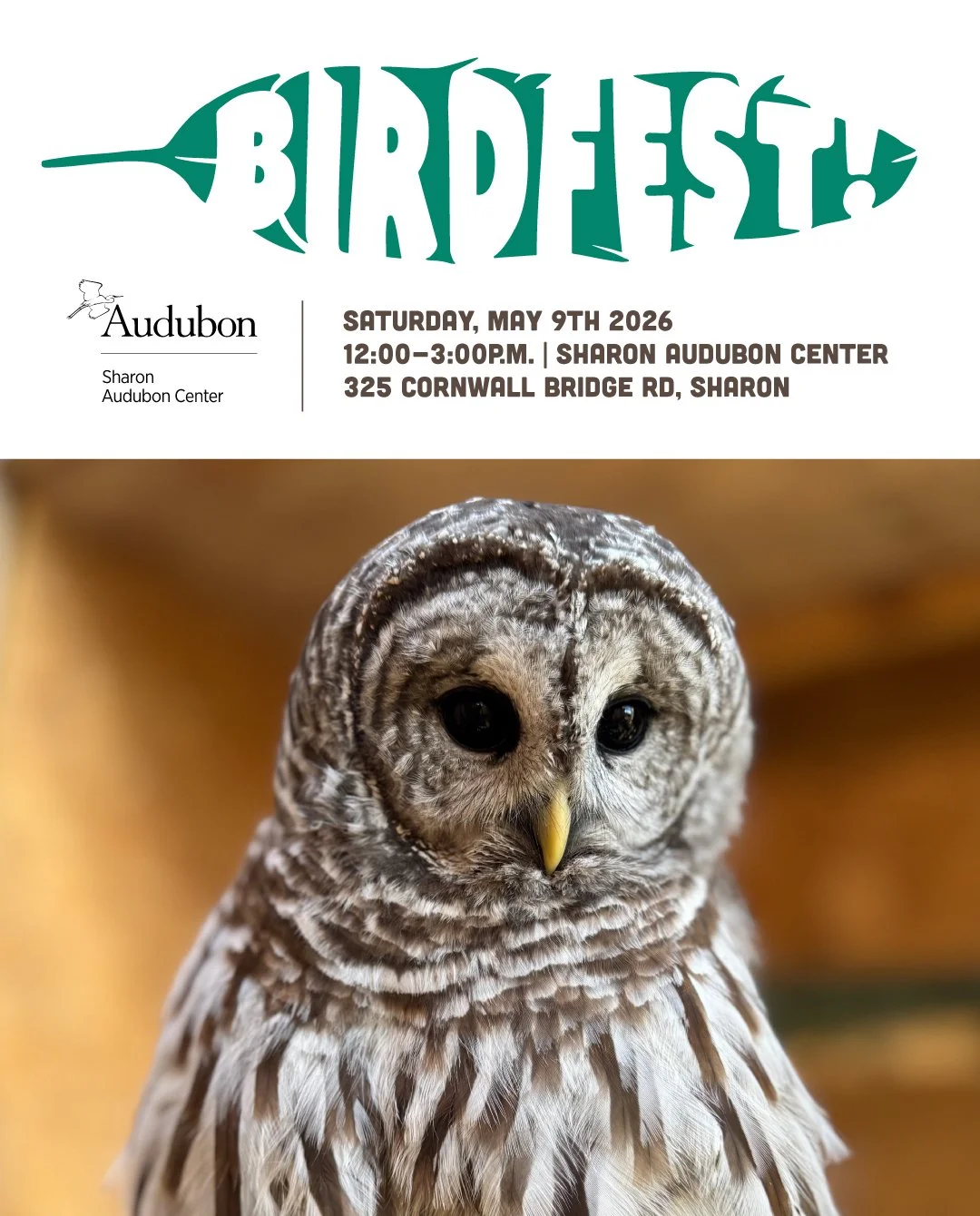 World Migratory Bird Day - Birdfest