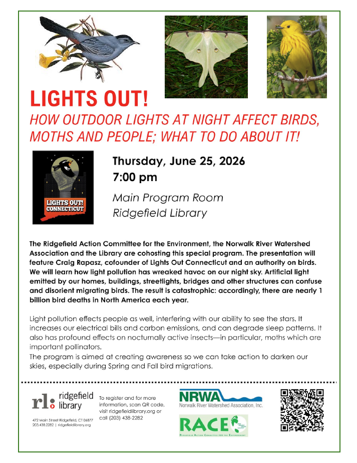 How Outdoor Lights at Night Affect Birds, Moths and People