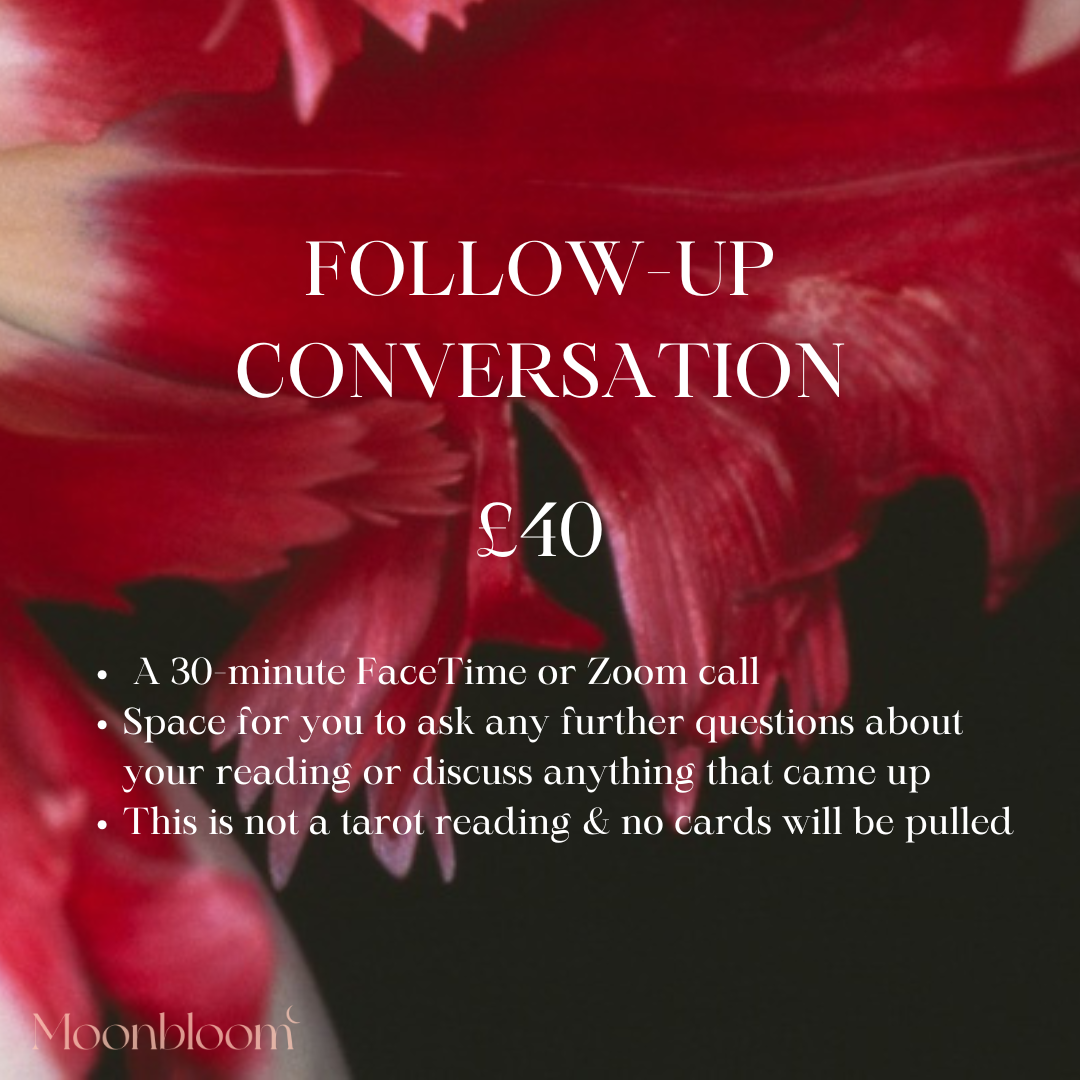 Follow-Up Conversation