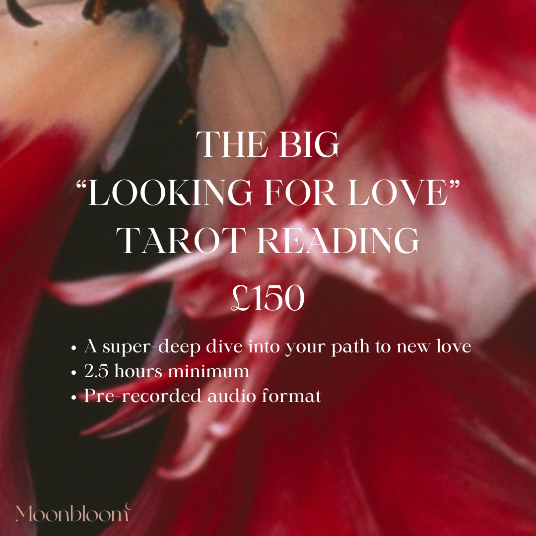 The Big "Looking for Love" Tarot Reading.PNG