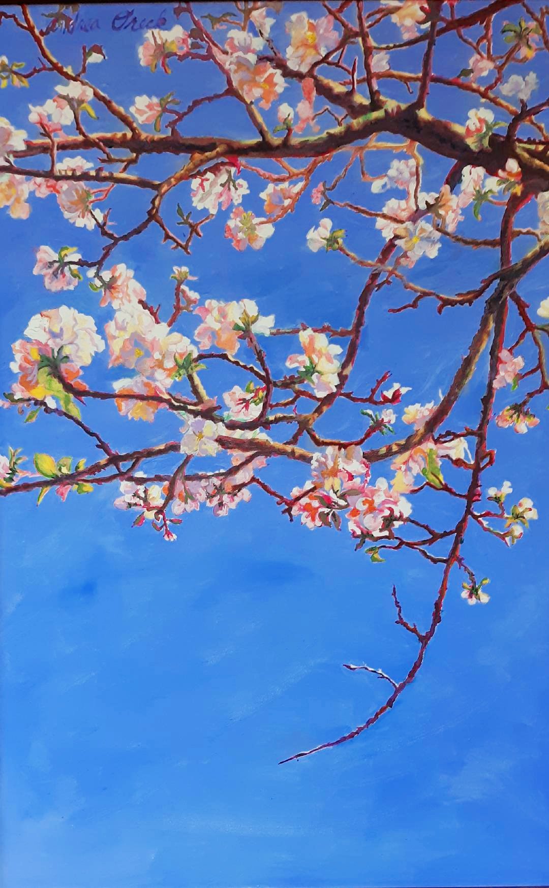 Sky Blossoms 2 copy.jpg