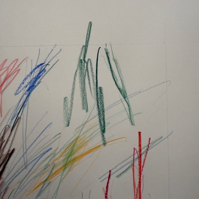 F46DA24E-2CBB-4606-BB6F-1882899B9D84.jpeg