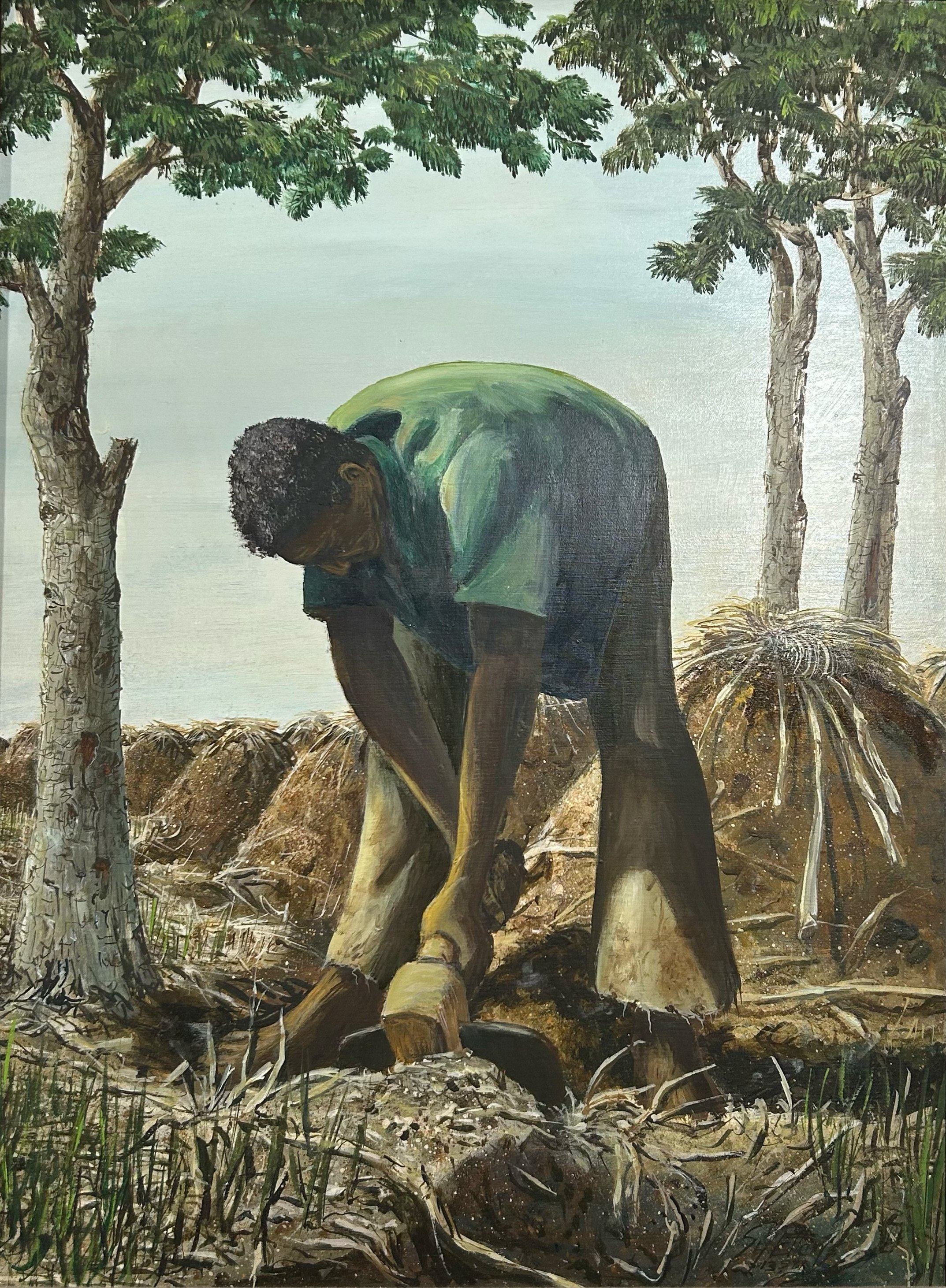 Planting Yams 16 x 20