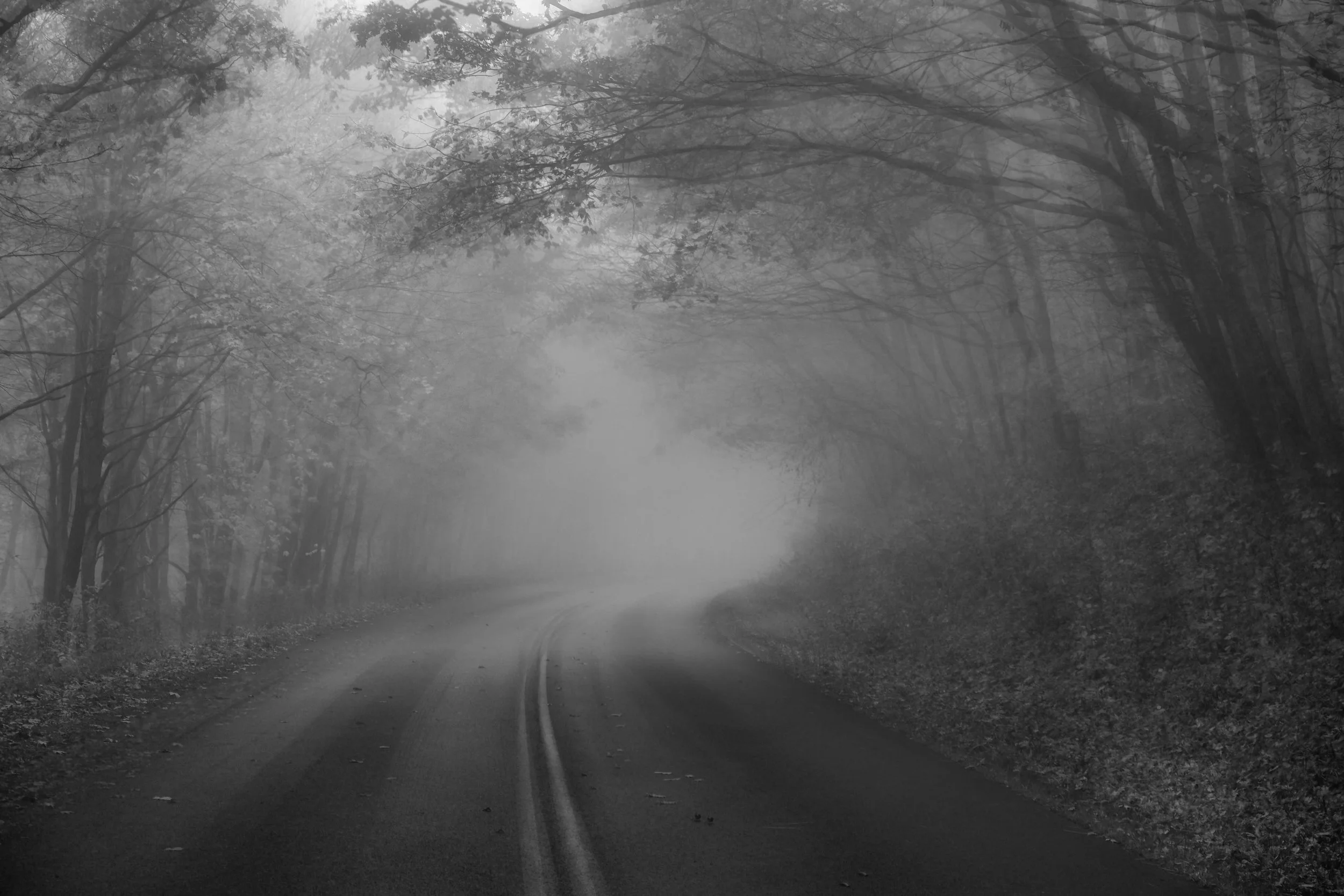 DSCF7976 - Copy_2.jpg