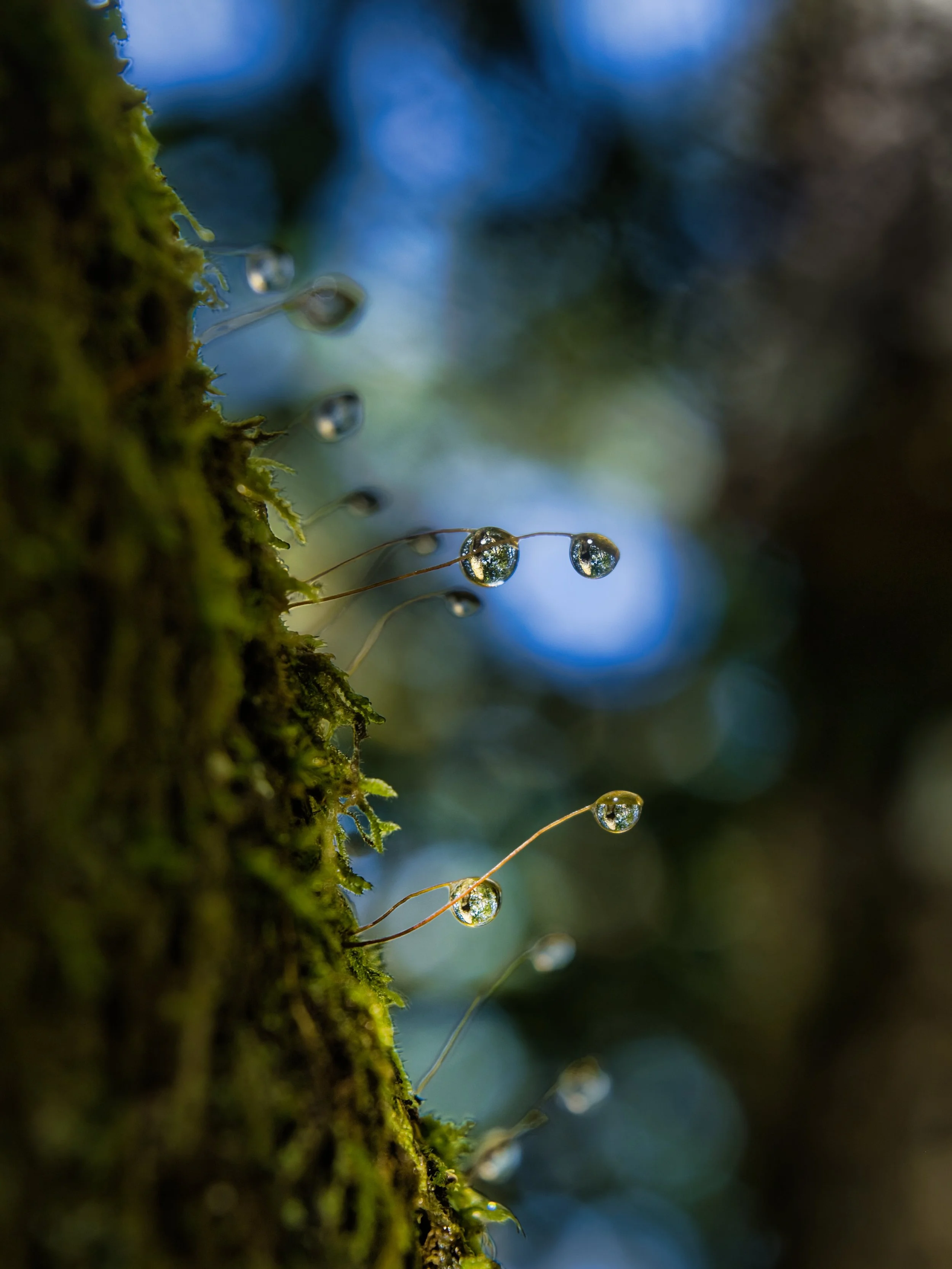 DSCF3588.jpg