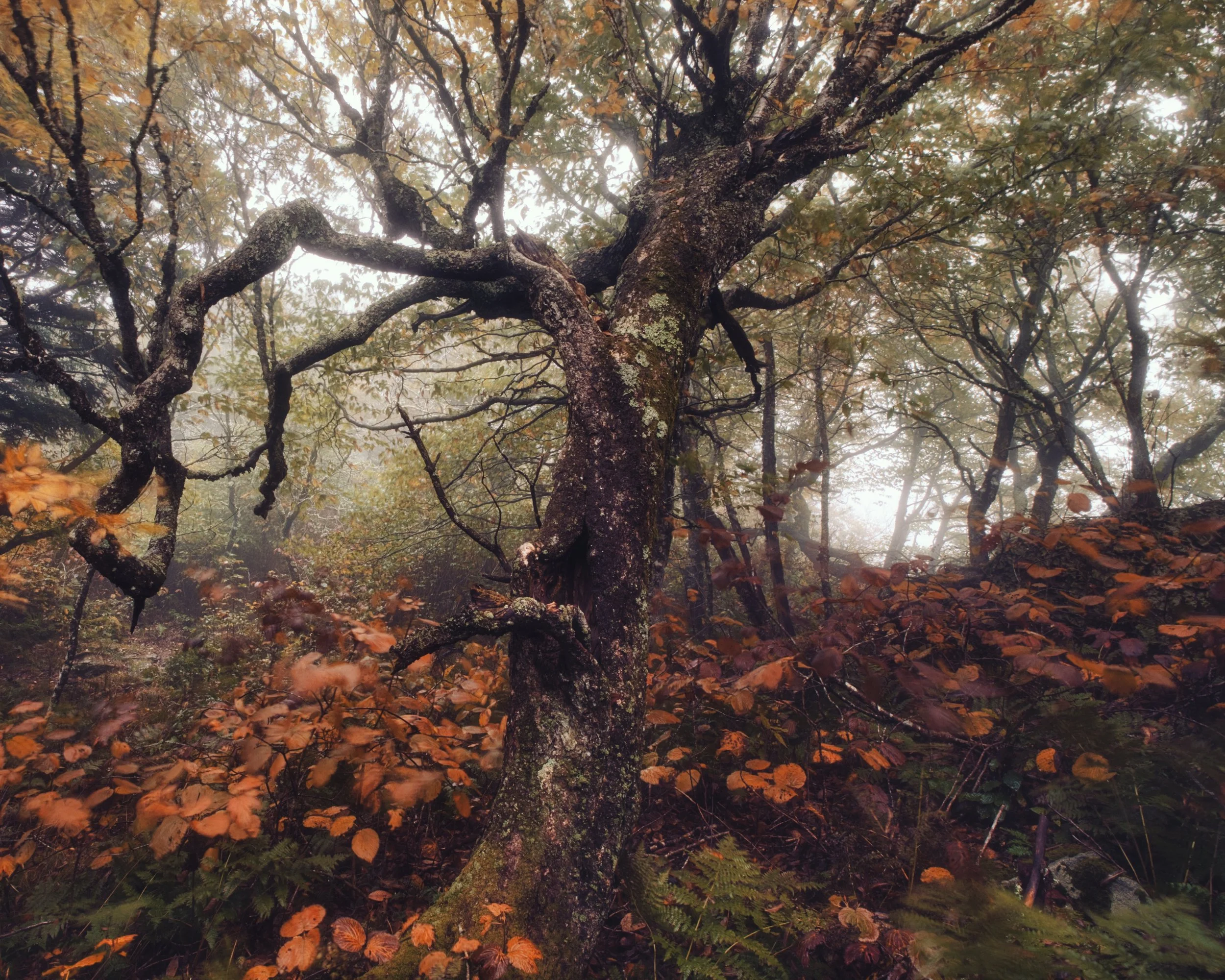 DSCF4191.jpg