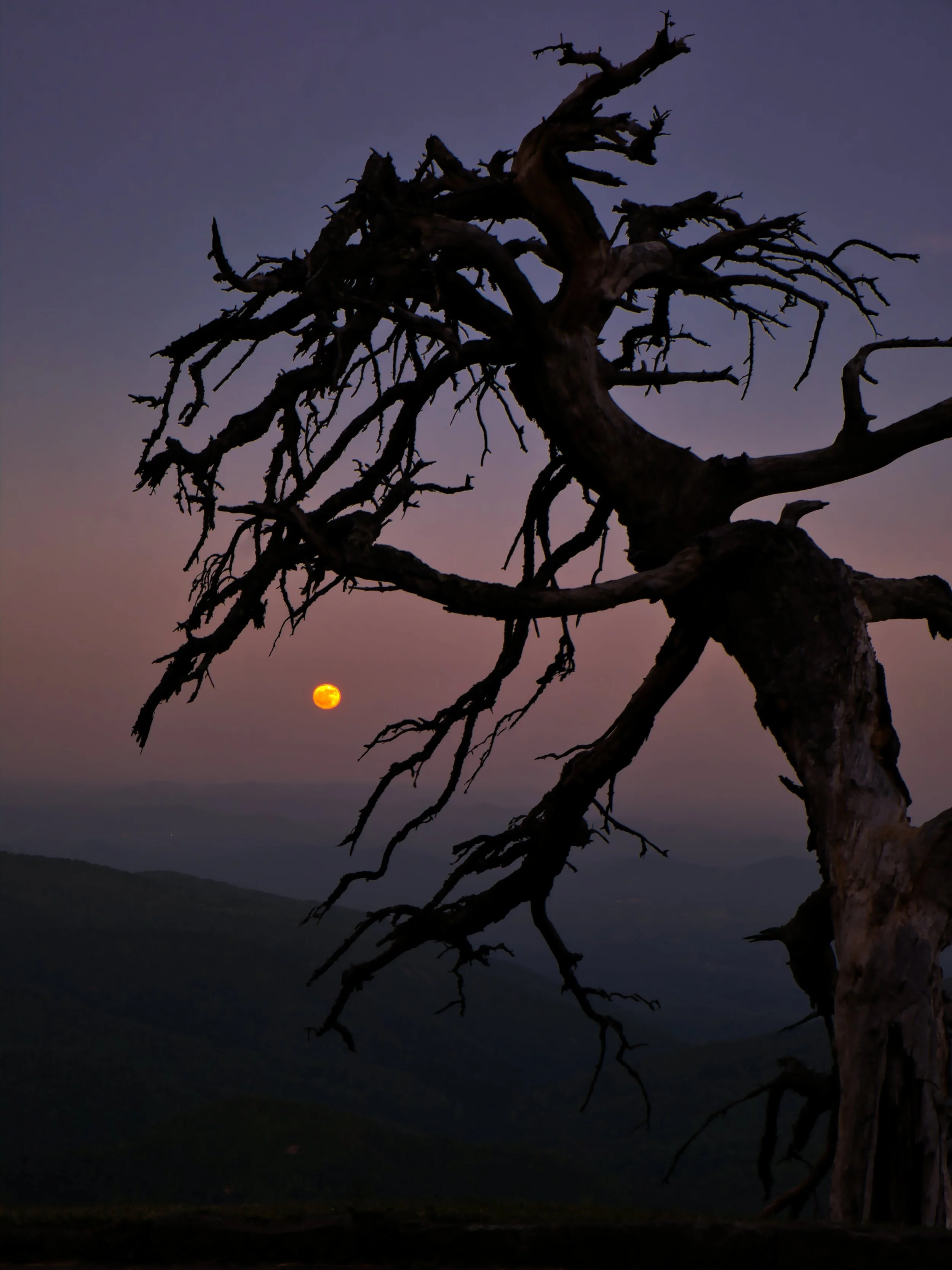 DSCF8174 - Copy_2.jpg