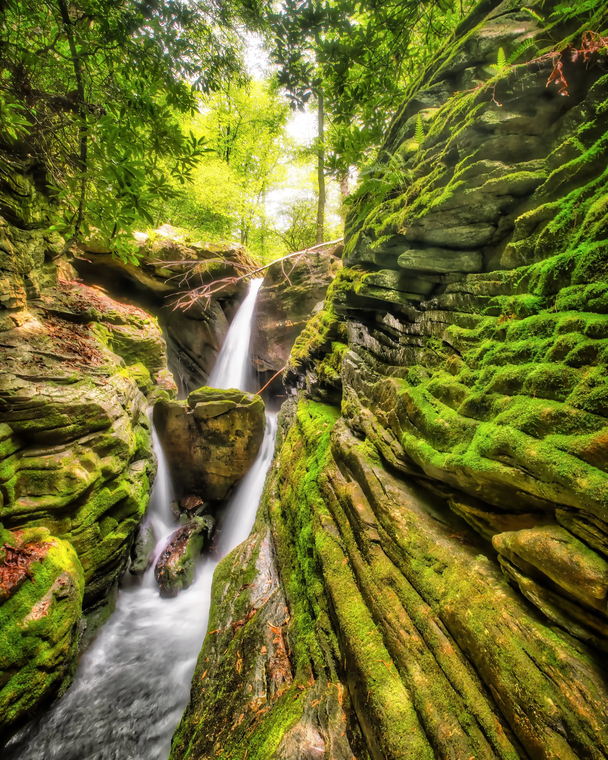 DSCF7403_hdr_1.jpg