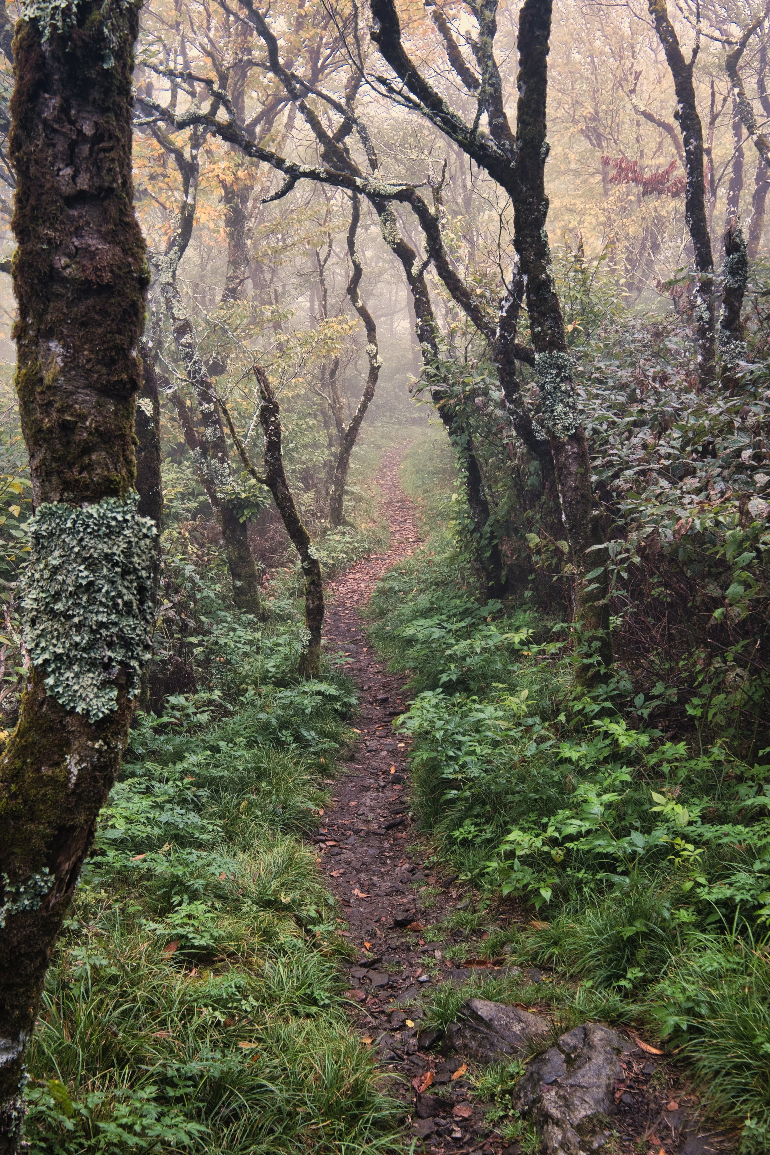 DSCF4328.jpg