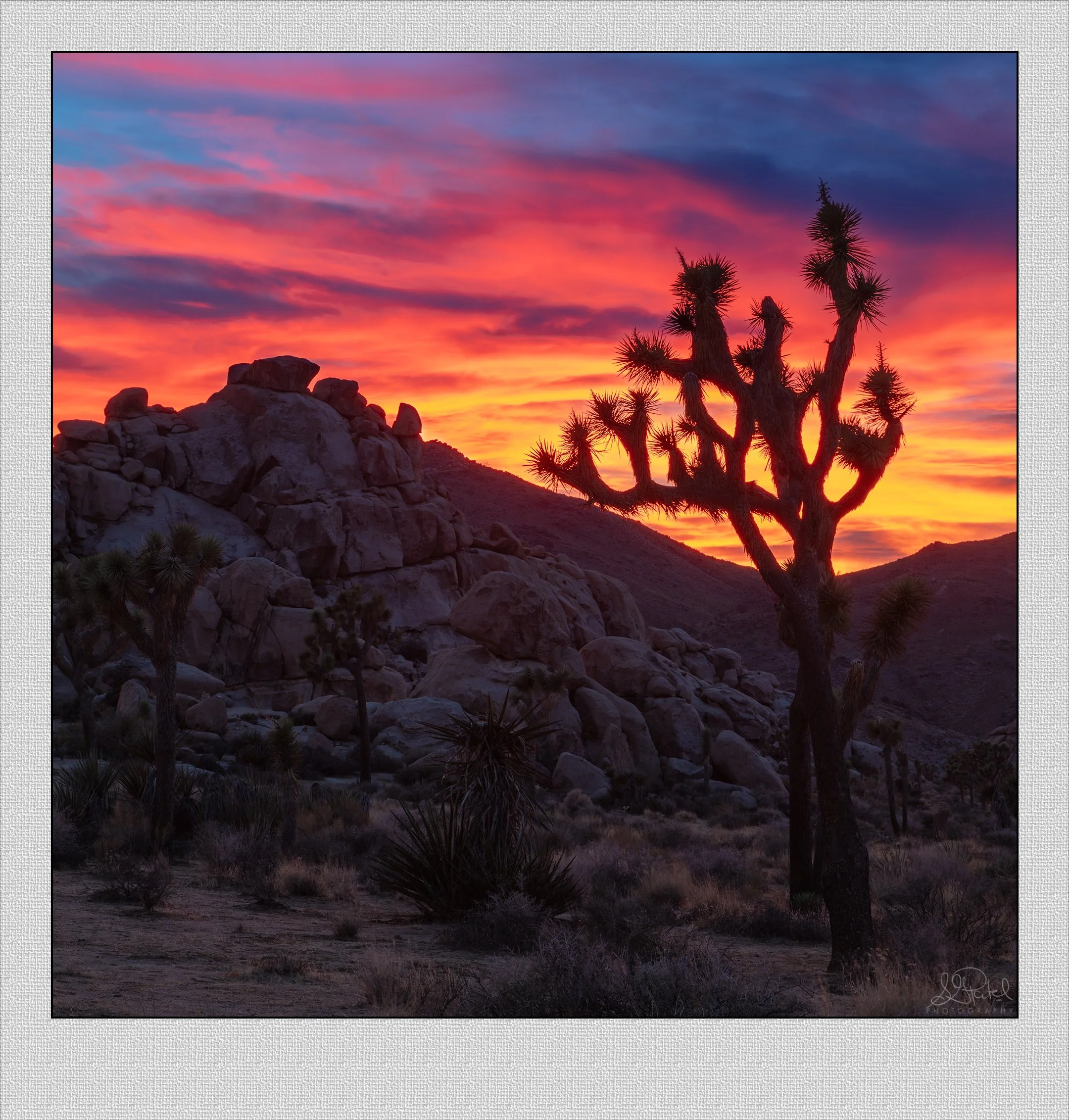Joshua Tree Sunset.jpg