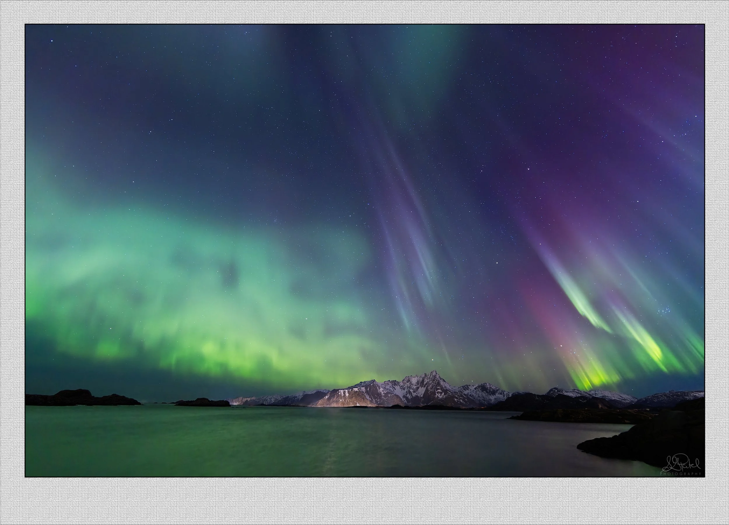 Martsund Back Website.jpg