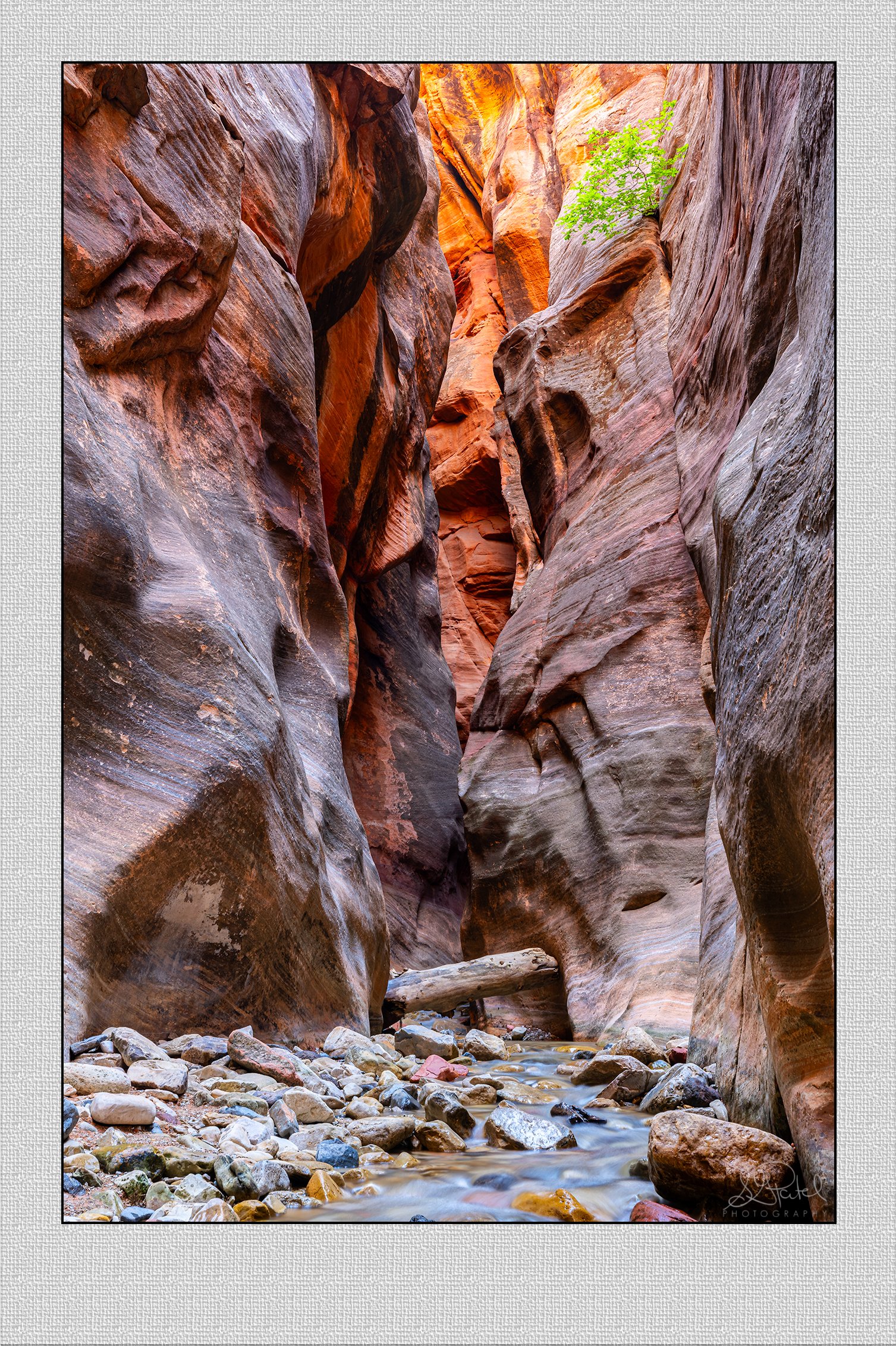 Kanarra Falls Entrace.jpg