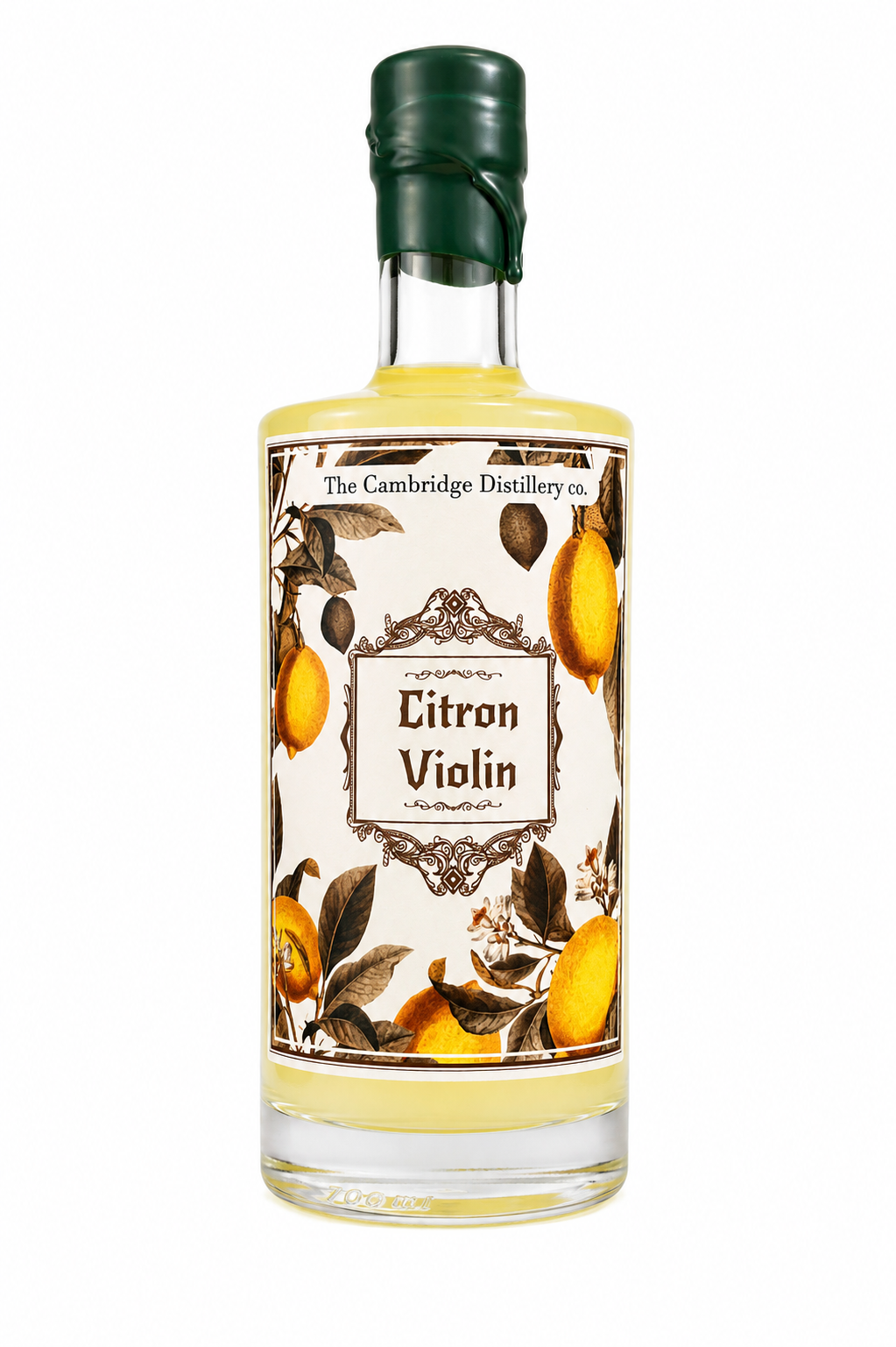Citron Violin