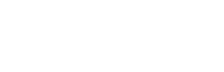 THE ROOSTER STUDIO