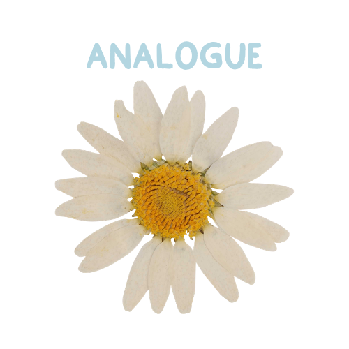 ANALOGUE