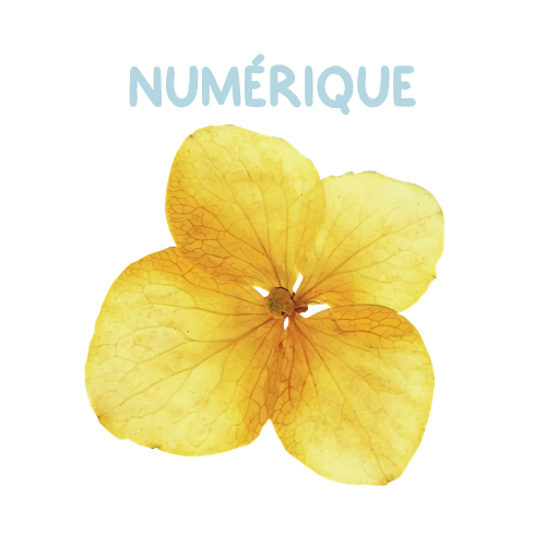 NUMÉRIQUE