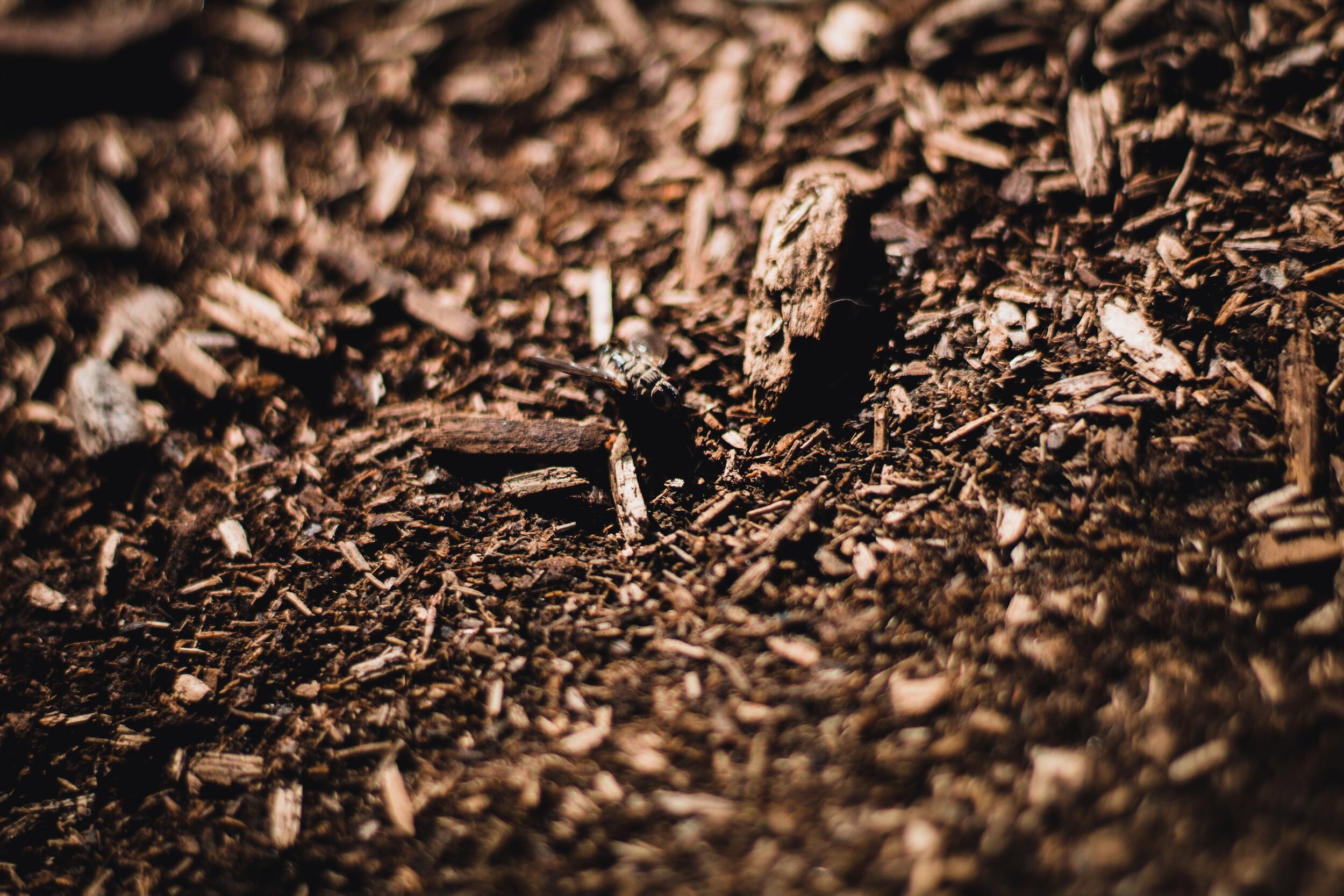 Central Oregon Mulching: Essential Tips