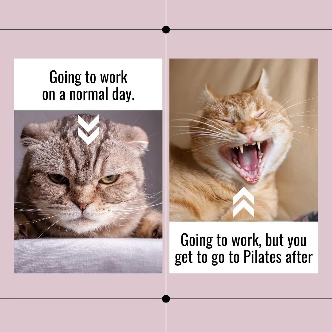 Friday funny 😹