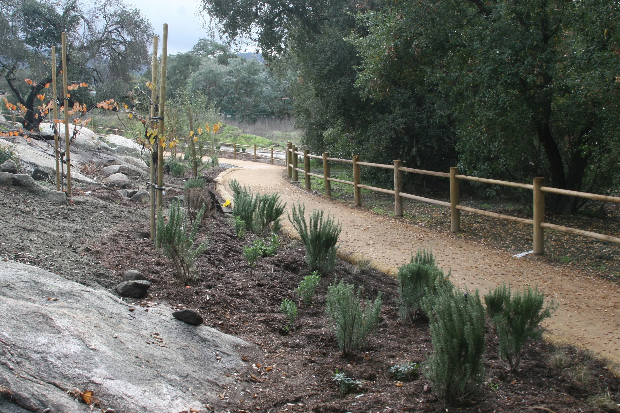 pathwaypic1.jpg