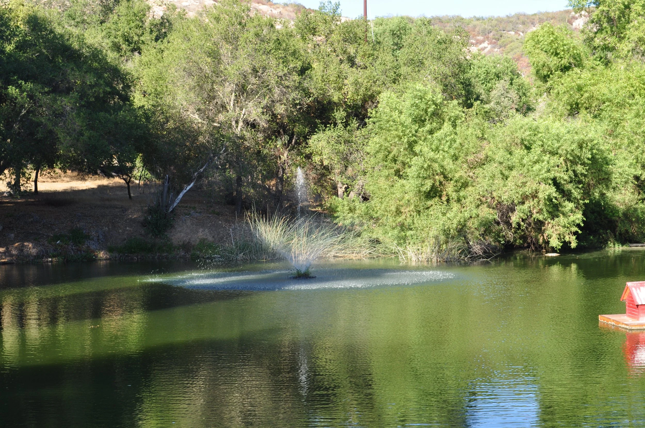 DSC_0032.JPG