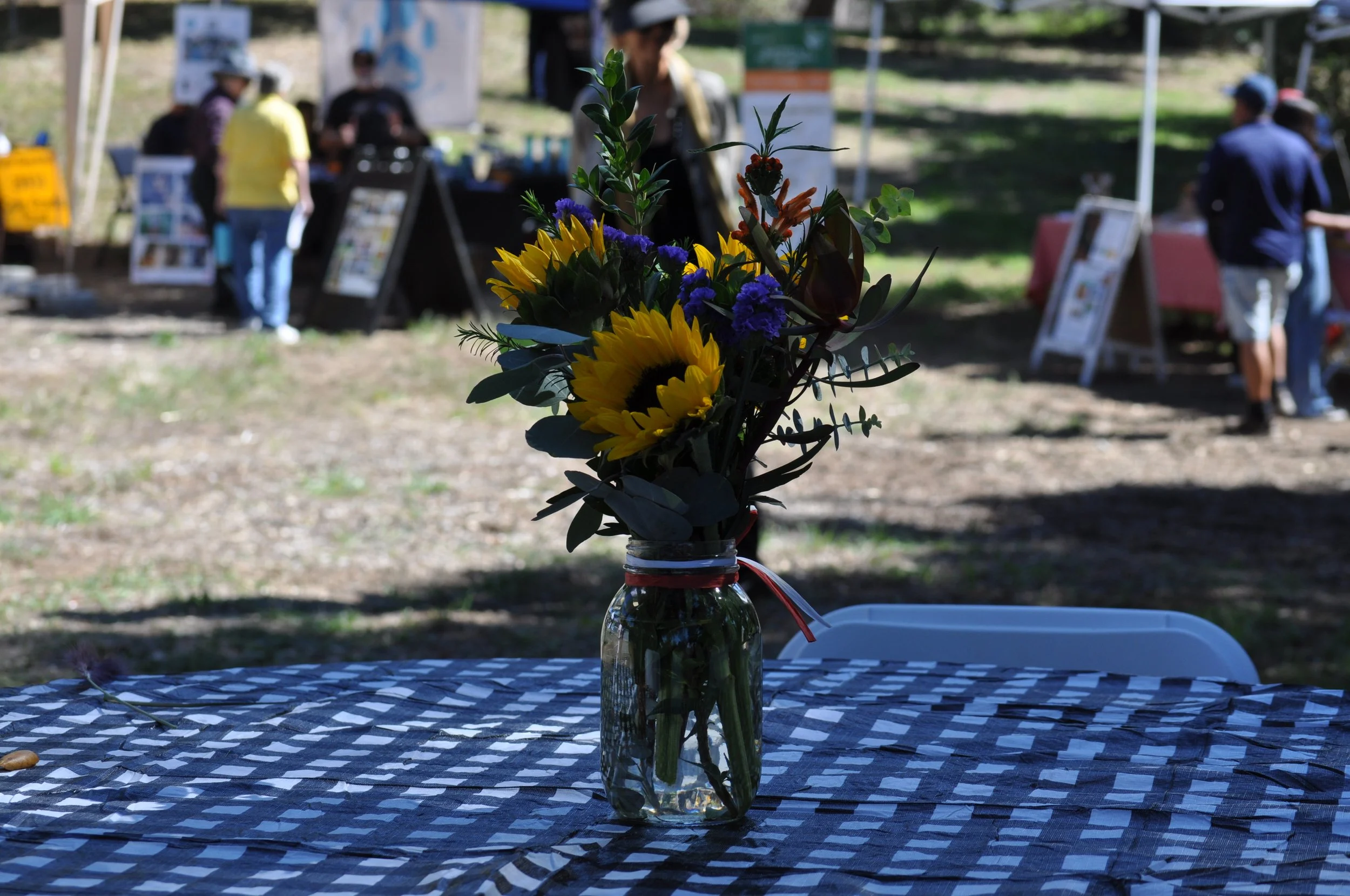DSC_0136.JPG