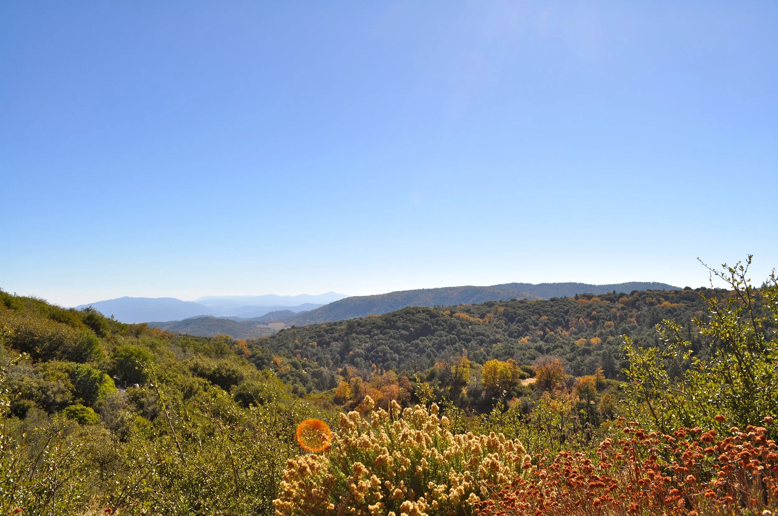 DSC_0304.JPG
