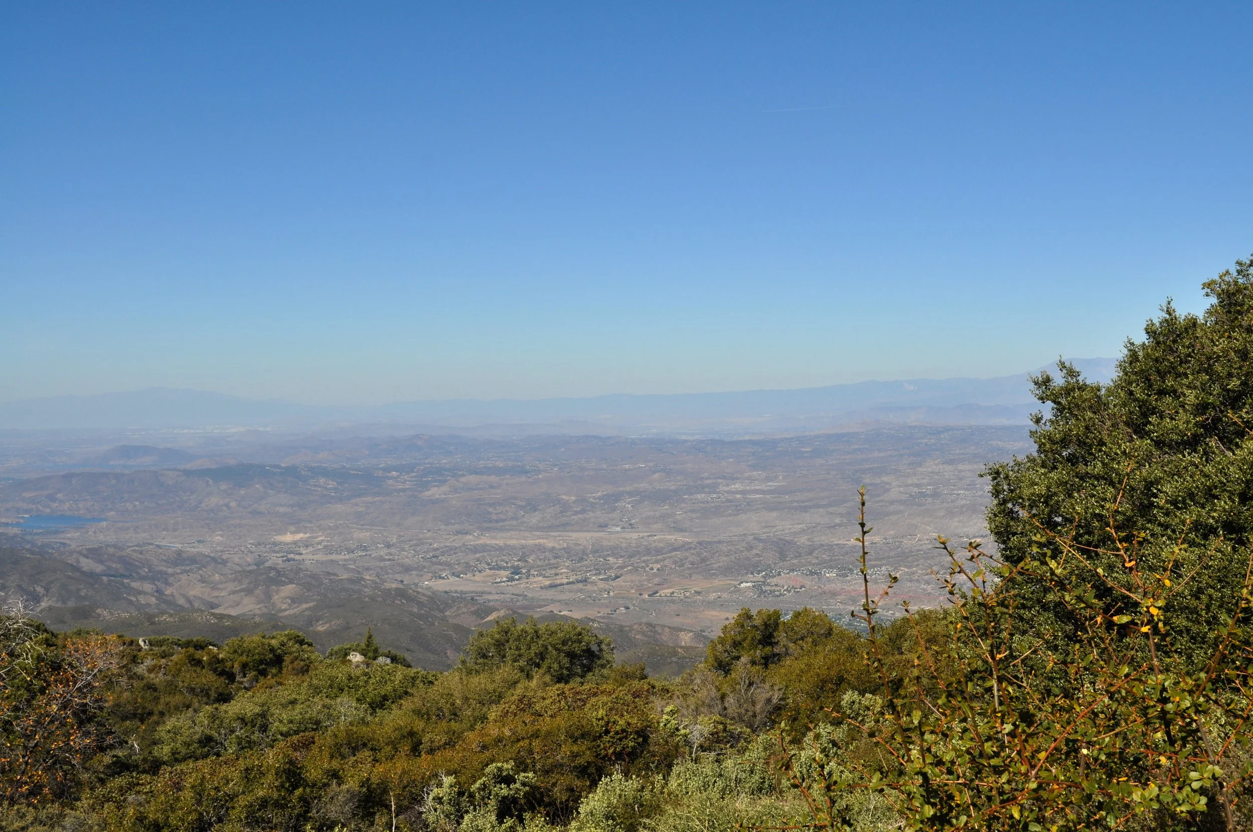 DSC_0307.JPG