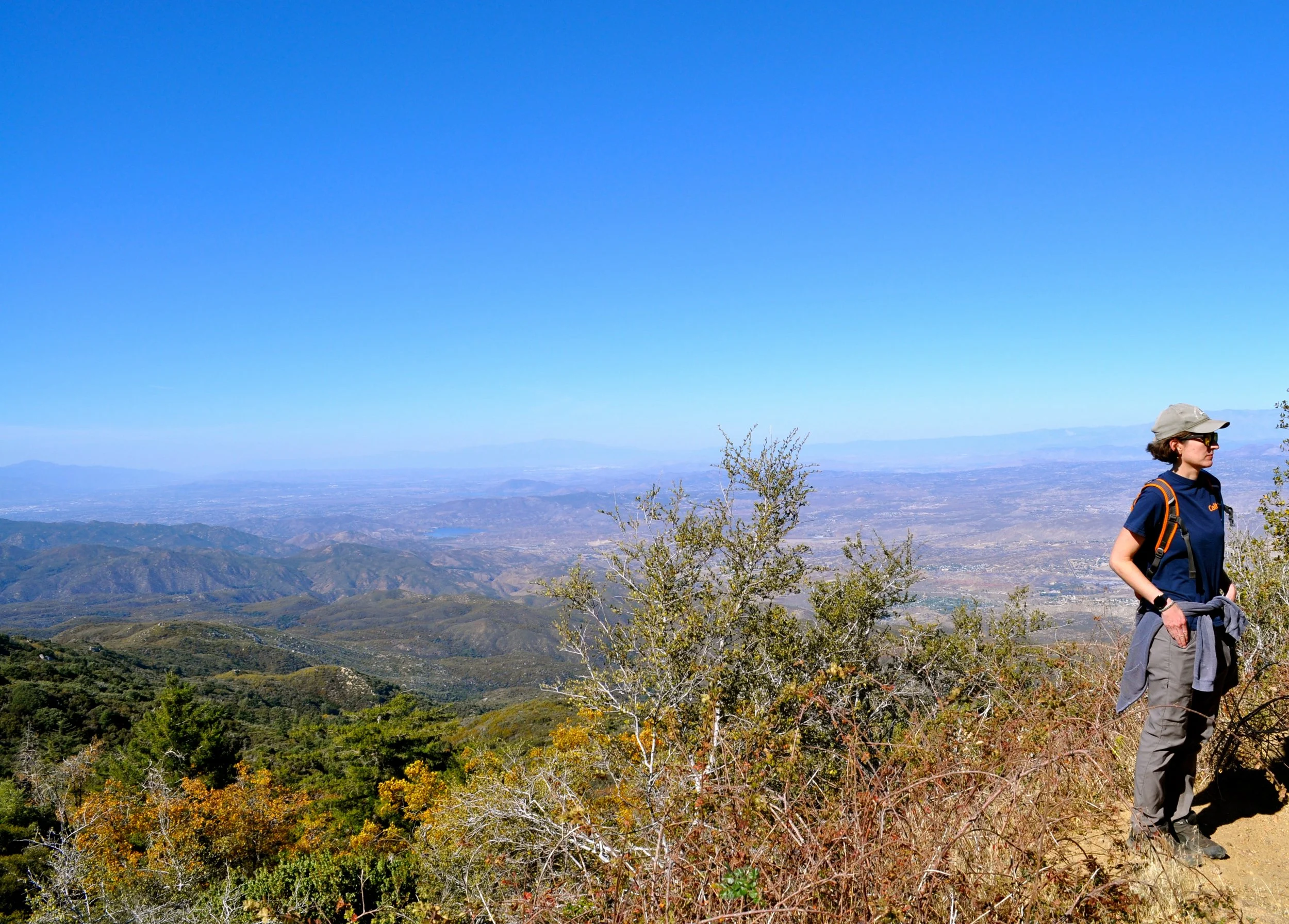 DSC_0311.JPG