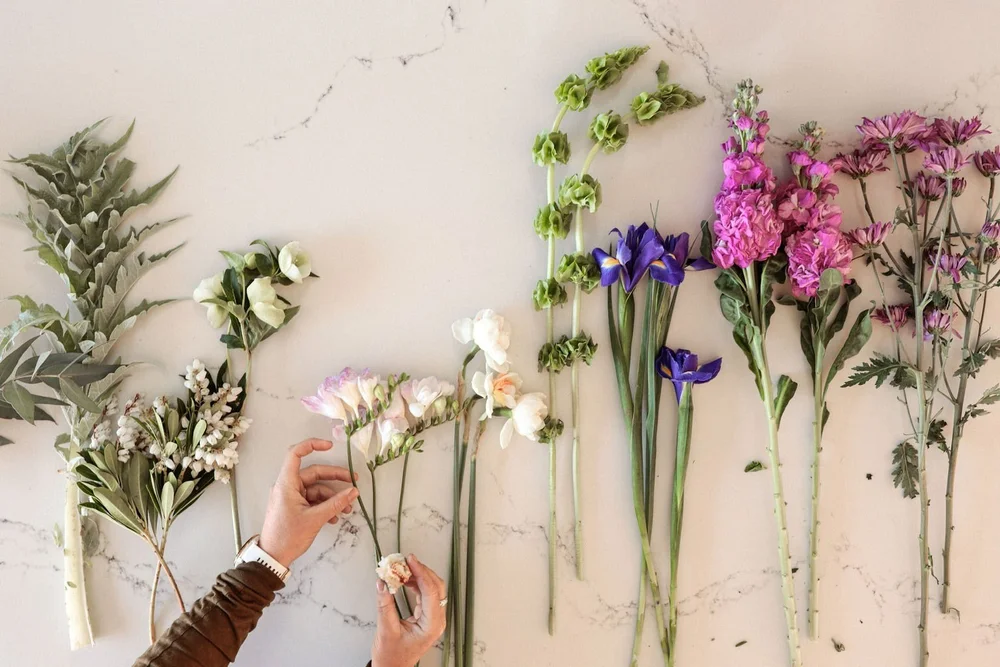 Flower Delivery Havelock North, Hastings & Napier Pompom