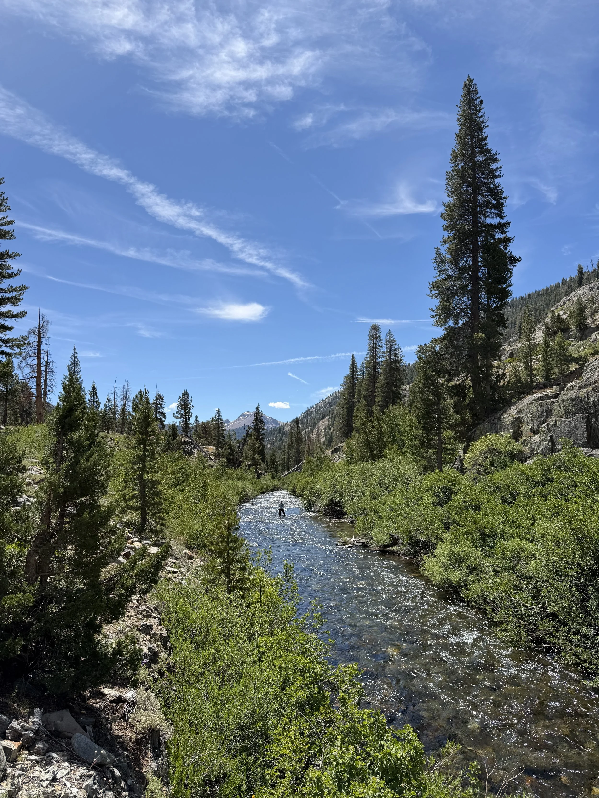       
  
    Summer is in full swing right now.  Lots of daylight, warm temps, occasional afternoon thunderstorms.  We’ve been wet wading, and enjoying hiking to find some colder water temps and eager fish.  Hot Creek still having a decent action on