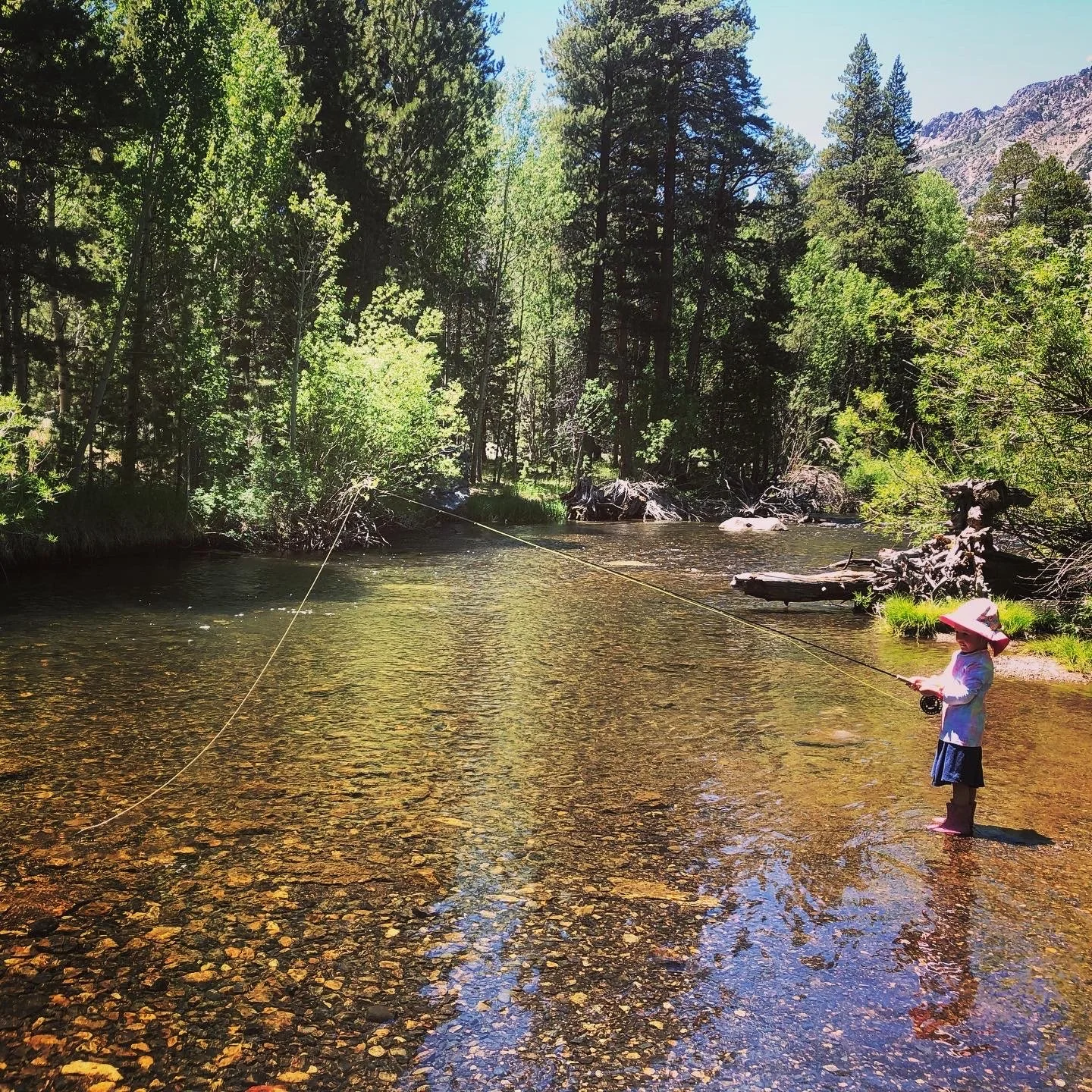 Gallery — MAMMOTH LAKES FLY FISHING