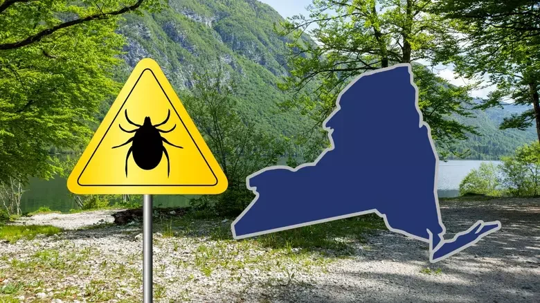 The 50F Tick Spray Rule Long Island Families Miss (And Why It's Not Enough)