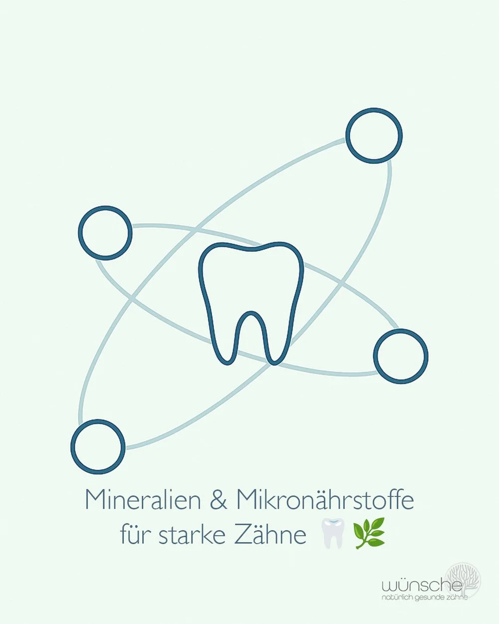 Z&auml;hne sind kein &bdquo;totes&ldquo; Material. Sie stehen in einem lebendigen Austausch: Speichel liefert Mineralien, der Zahnhalteapparat reagiert auf Belastung, und ein fein abgestimmter N&auml;hrstoffhaushalt entscheidet mit, ob Remineralisati