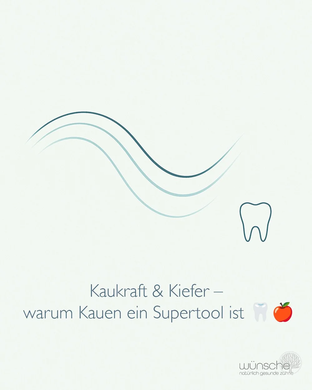 Kauen ist mehr als Zerkleinern. Jeder Biss setzt ein kleines Regie-Signal: Speichel flie&szlig;t (puffert S&auml;uren, liefert Mineralien), Zahnhalteapparat wird trainiert (Zahnfleisch, Knochen, Fasern), und das Nervensystem bekommt Input f&uuml;r Au
