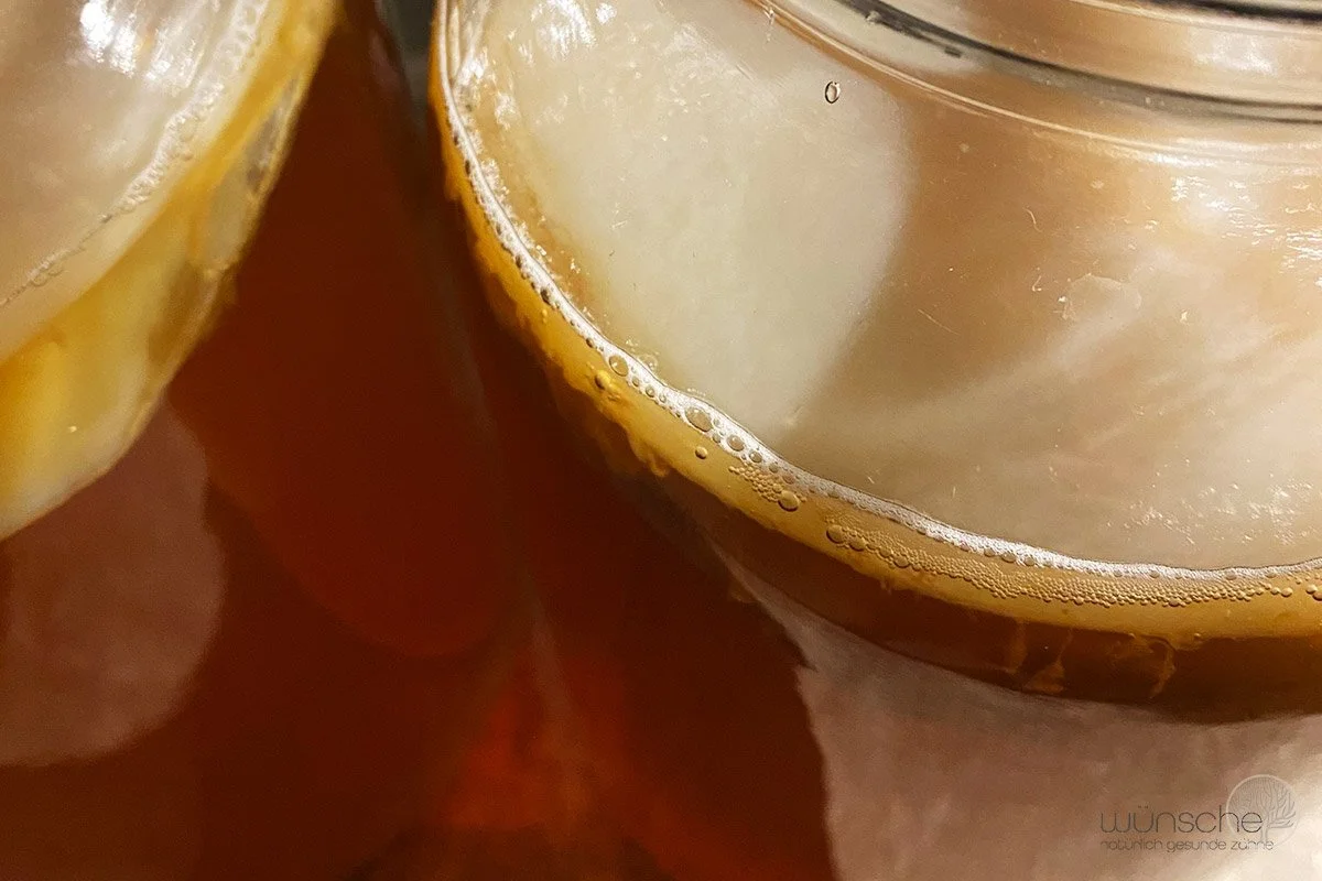 Wann Fermentation nicht für alle passt