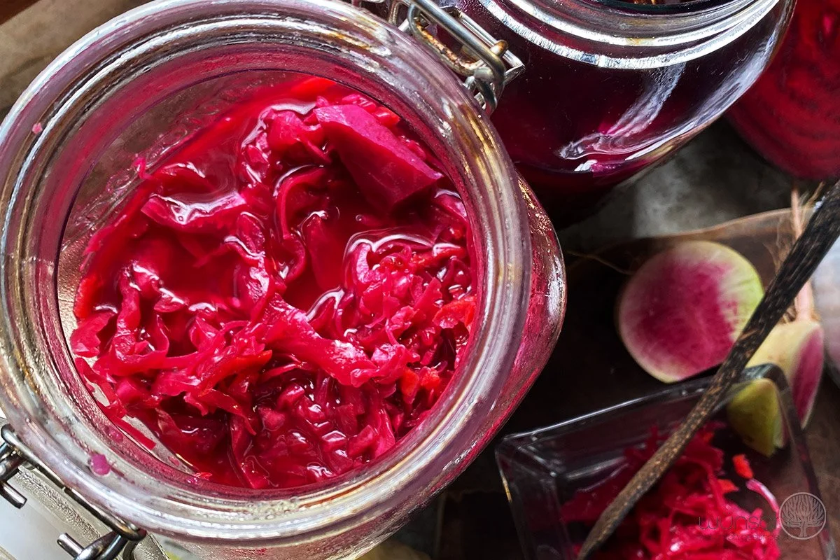 Fermentation &amp; Mikrobiom