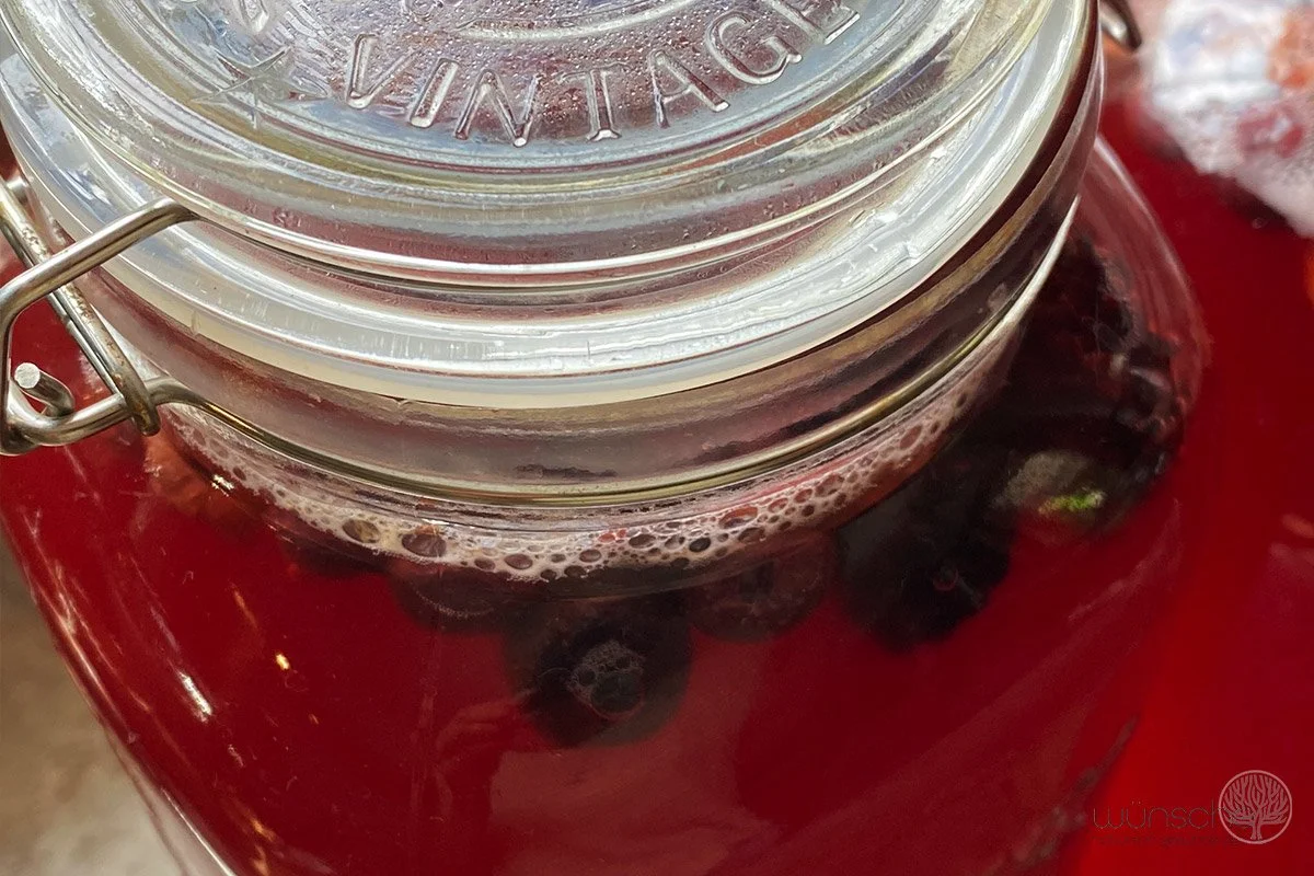 Fermentierende Beeren in Kombucha im Glas als Symbol für gesunde Darmflora und Mikrobiom-Unterstützung