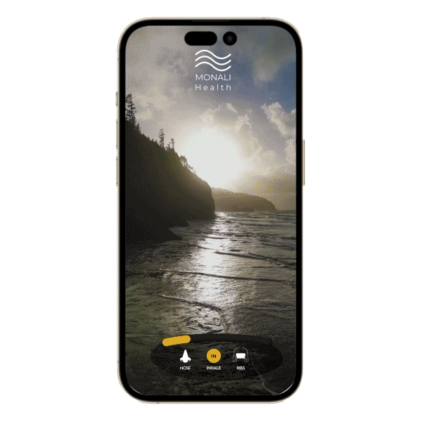 Guided Breathing Journey | Breath Wave