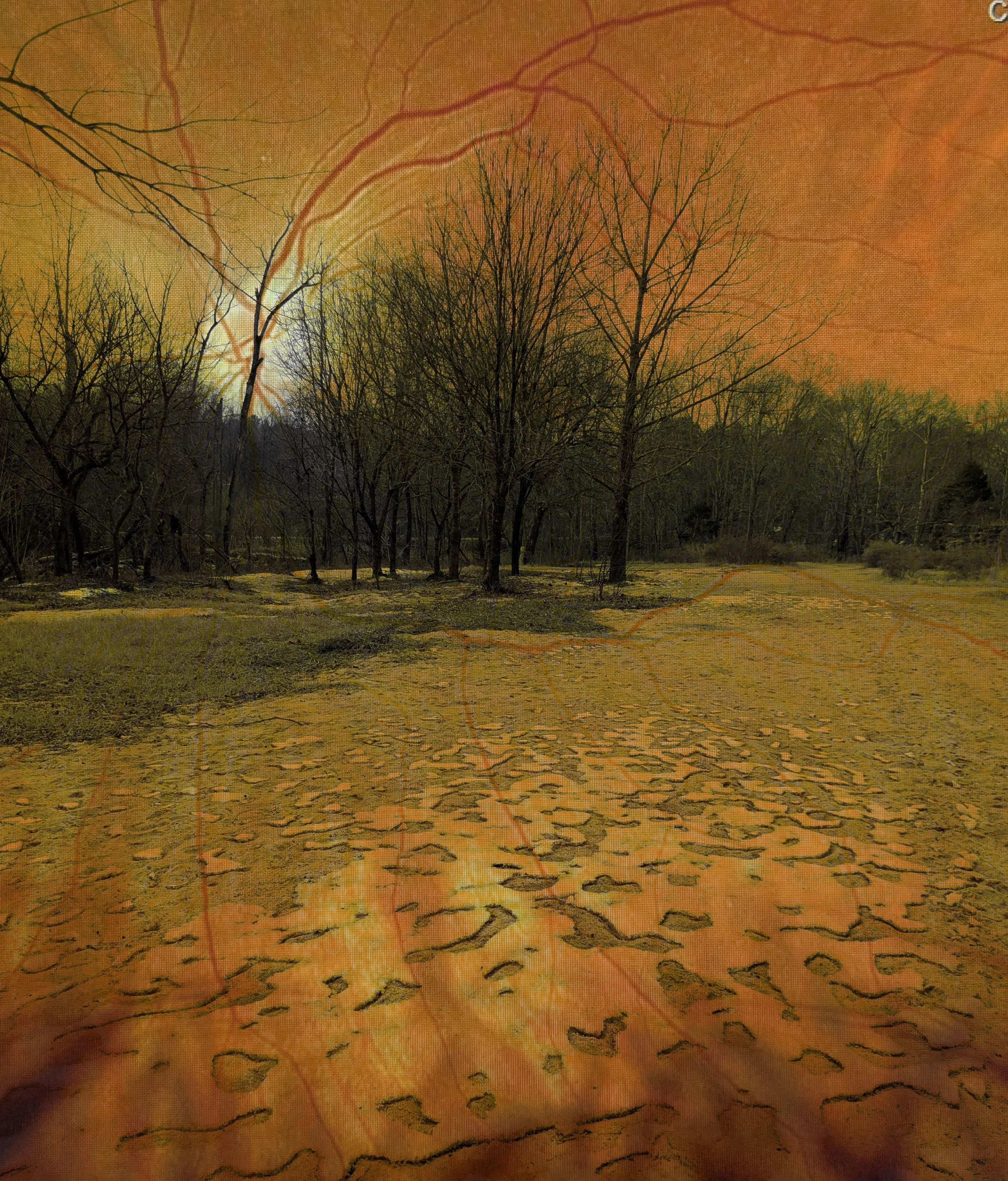 Deep Forces: A Practice Group Circle Back