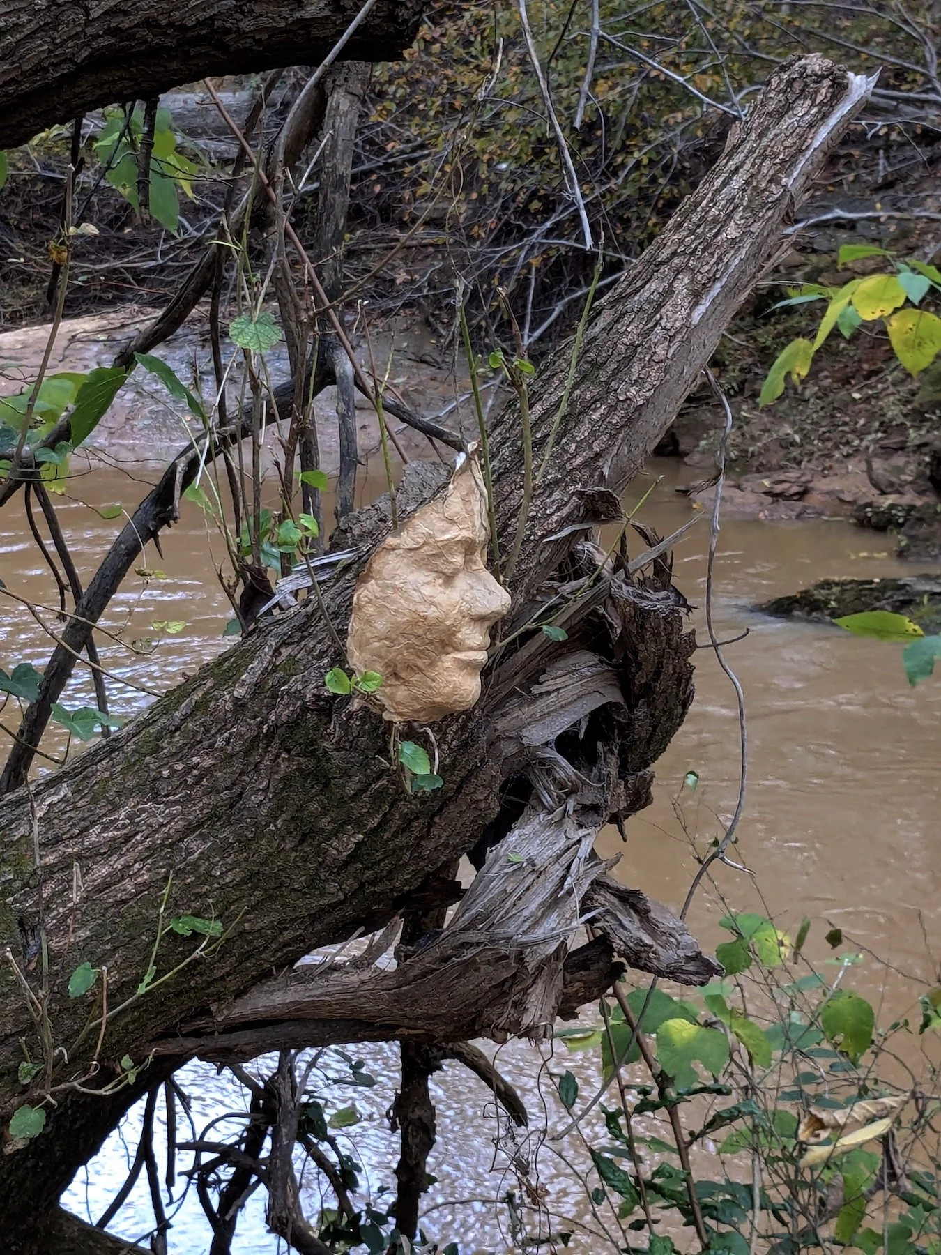 Wandering / In My Neck of the Woods - Kaye Savage