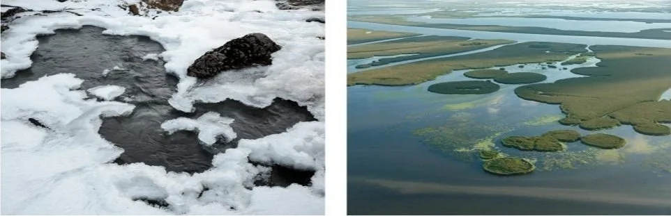 Lamentations with Tina Freeman